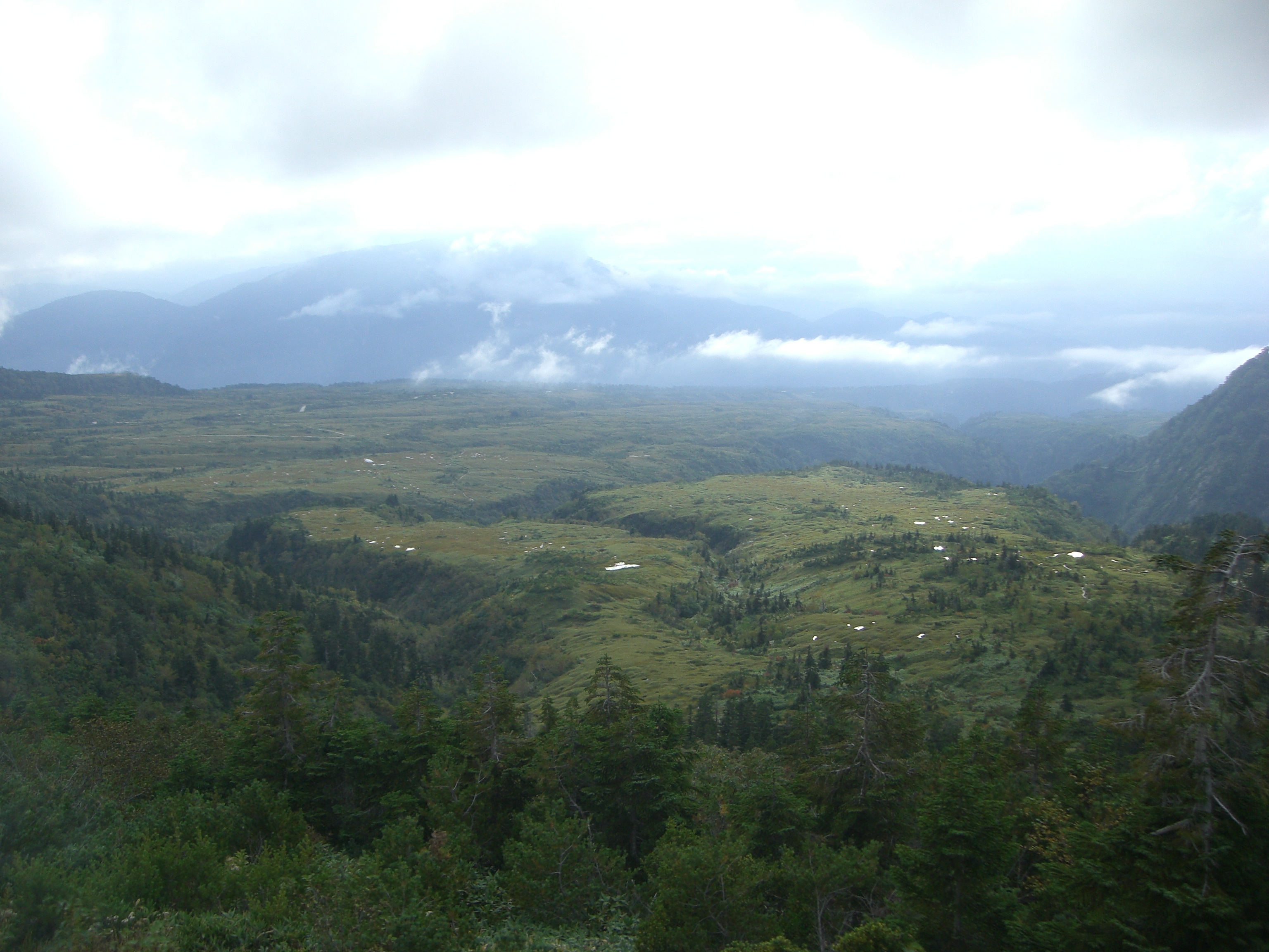 称名平から弥陀ヶ原への登山道