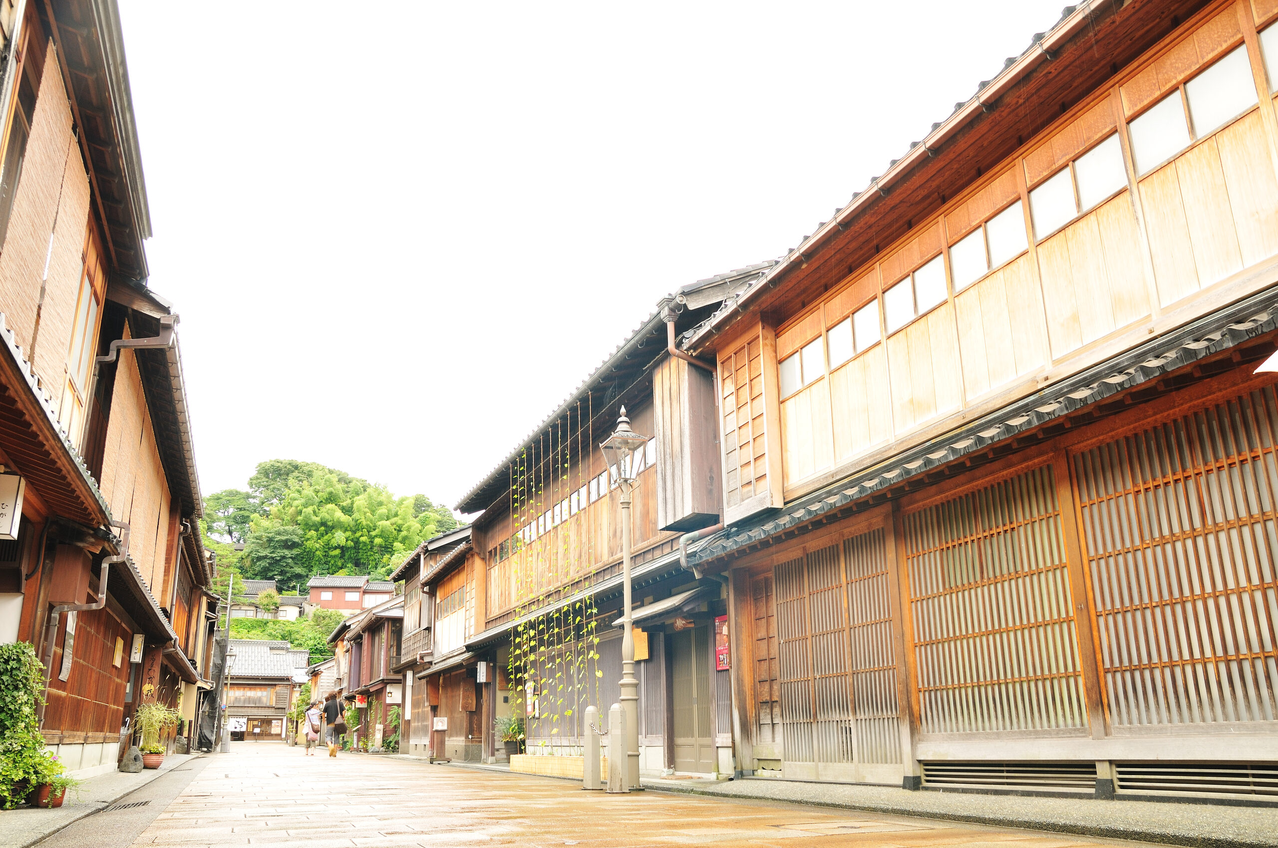 夏のひがし茶屋街の風景