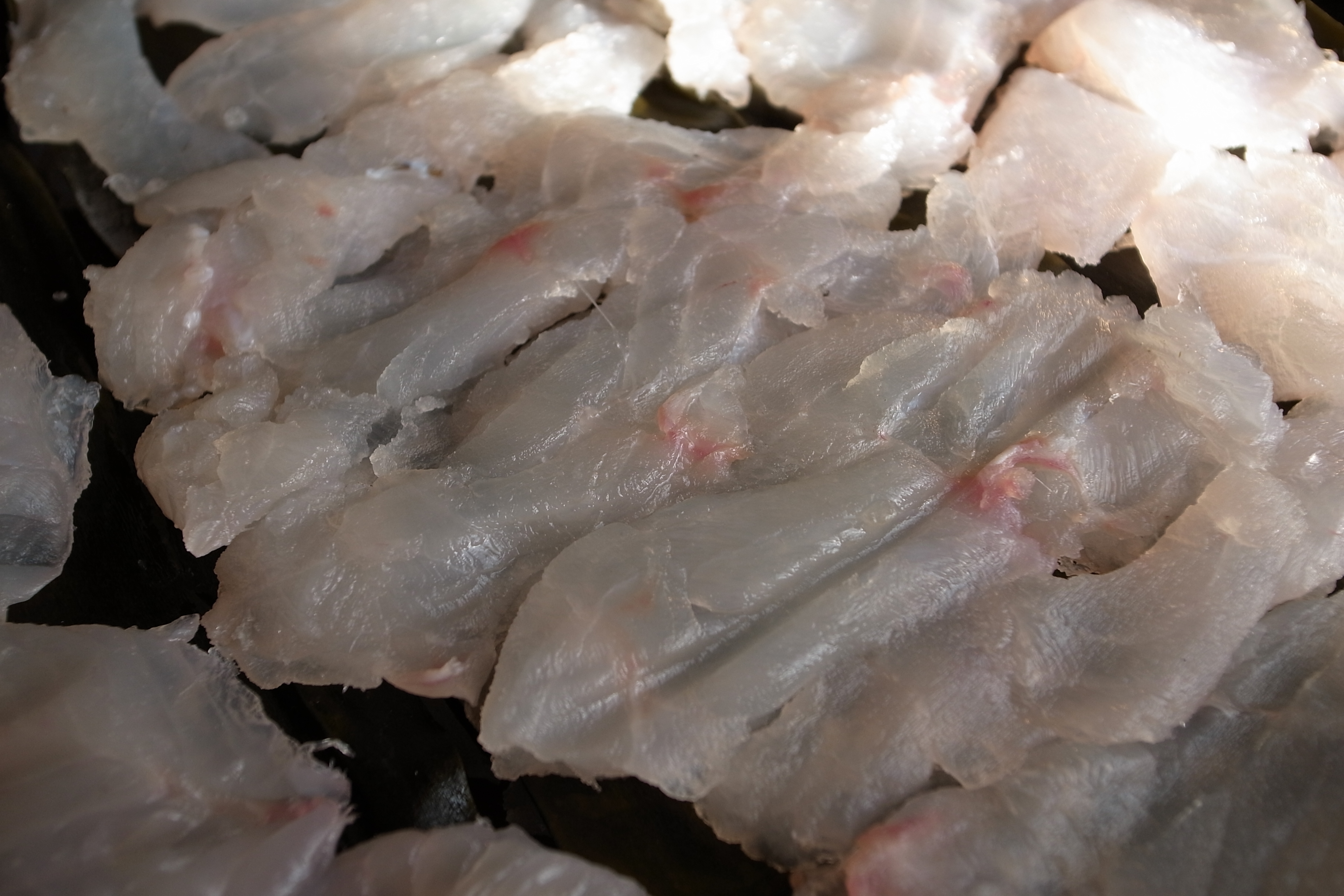 富山名物の昆布〆の刺身