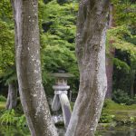 兼六園の徽軫灯籠と霞ヶ池
