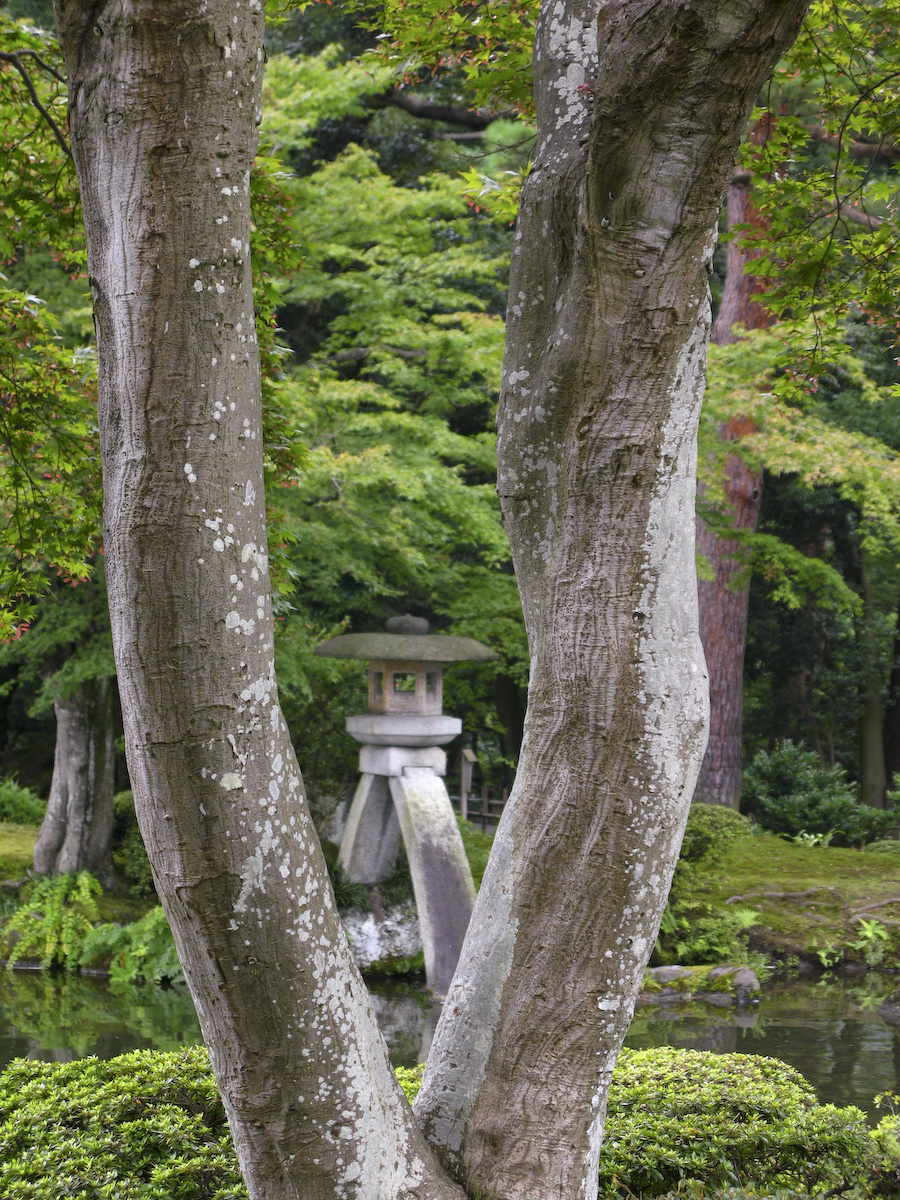 兼六園の徽軫灯籠と霞ヶ池