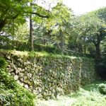 高岡古城公園の水濠と桜