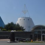 魚津埋没林博物館の特別天然記念物の埋没林