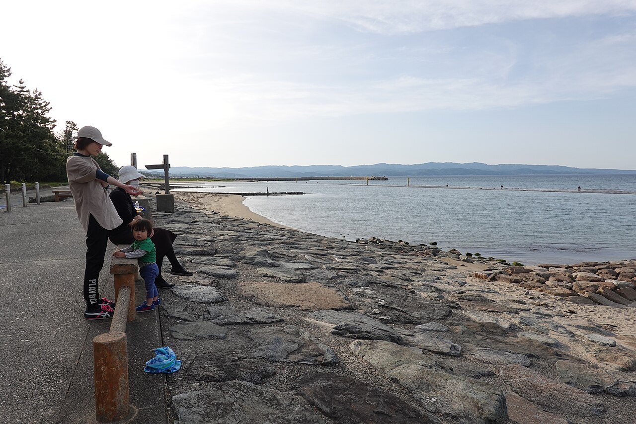 雨晴海岸の美しい海岸線と松林