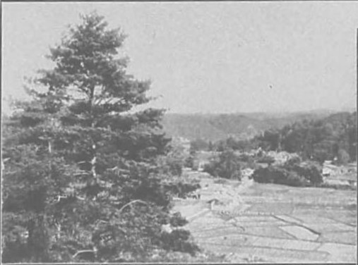 明治時代の粟津温泉の風景