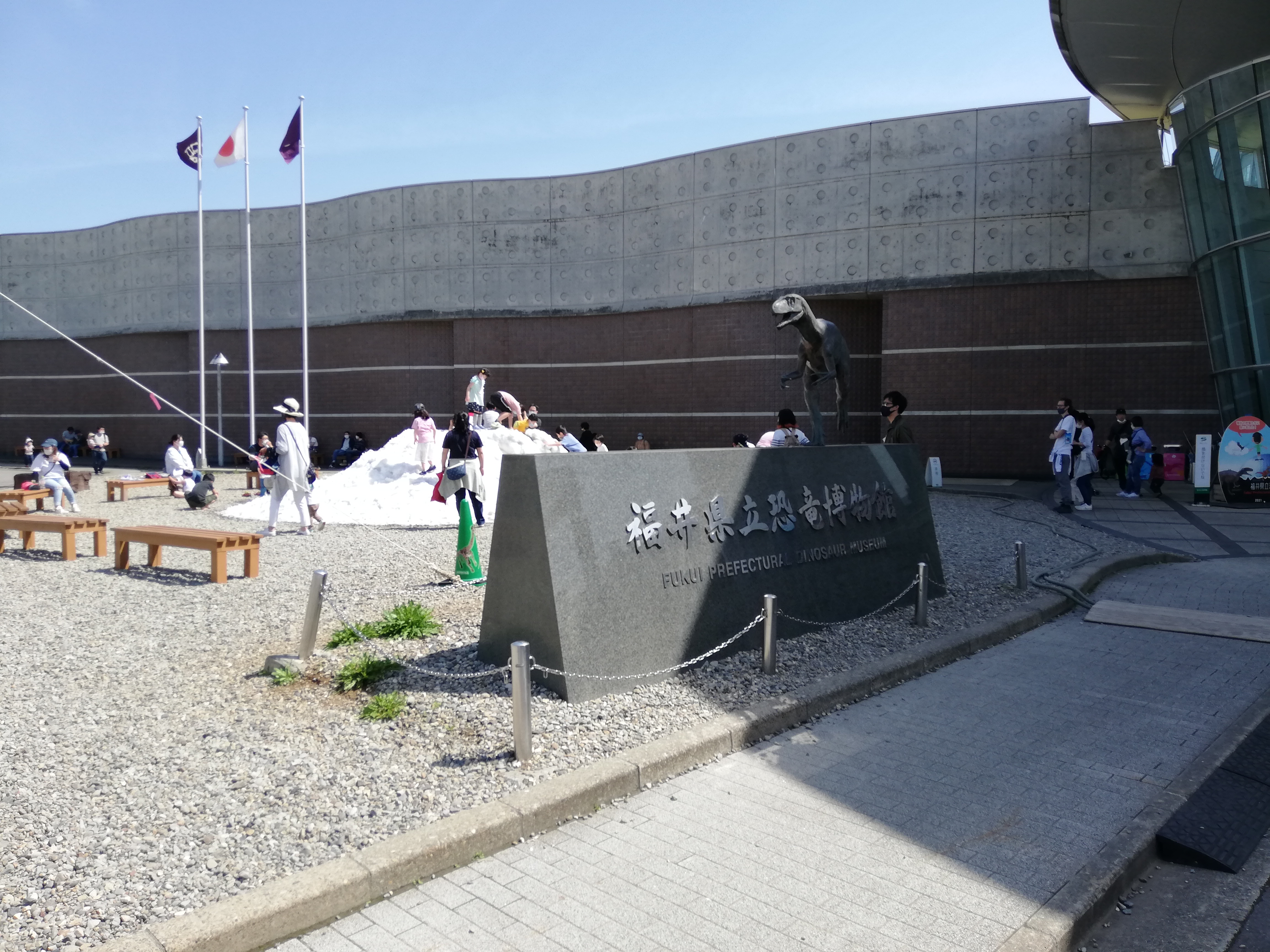 福井県立恐竜博物館の恐竜骨格標本の展示