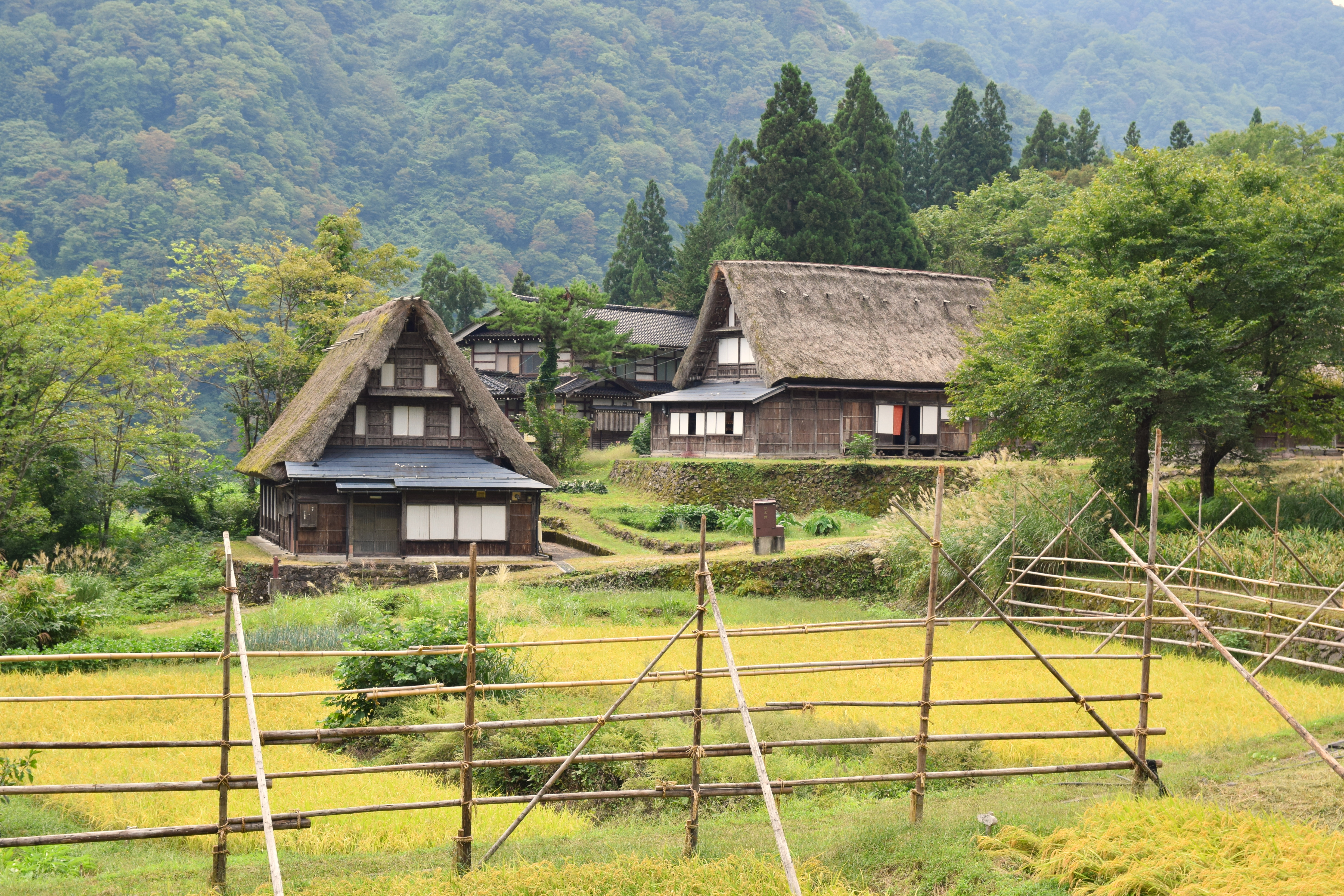 五箇山の合掌造り集落の風景