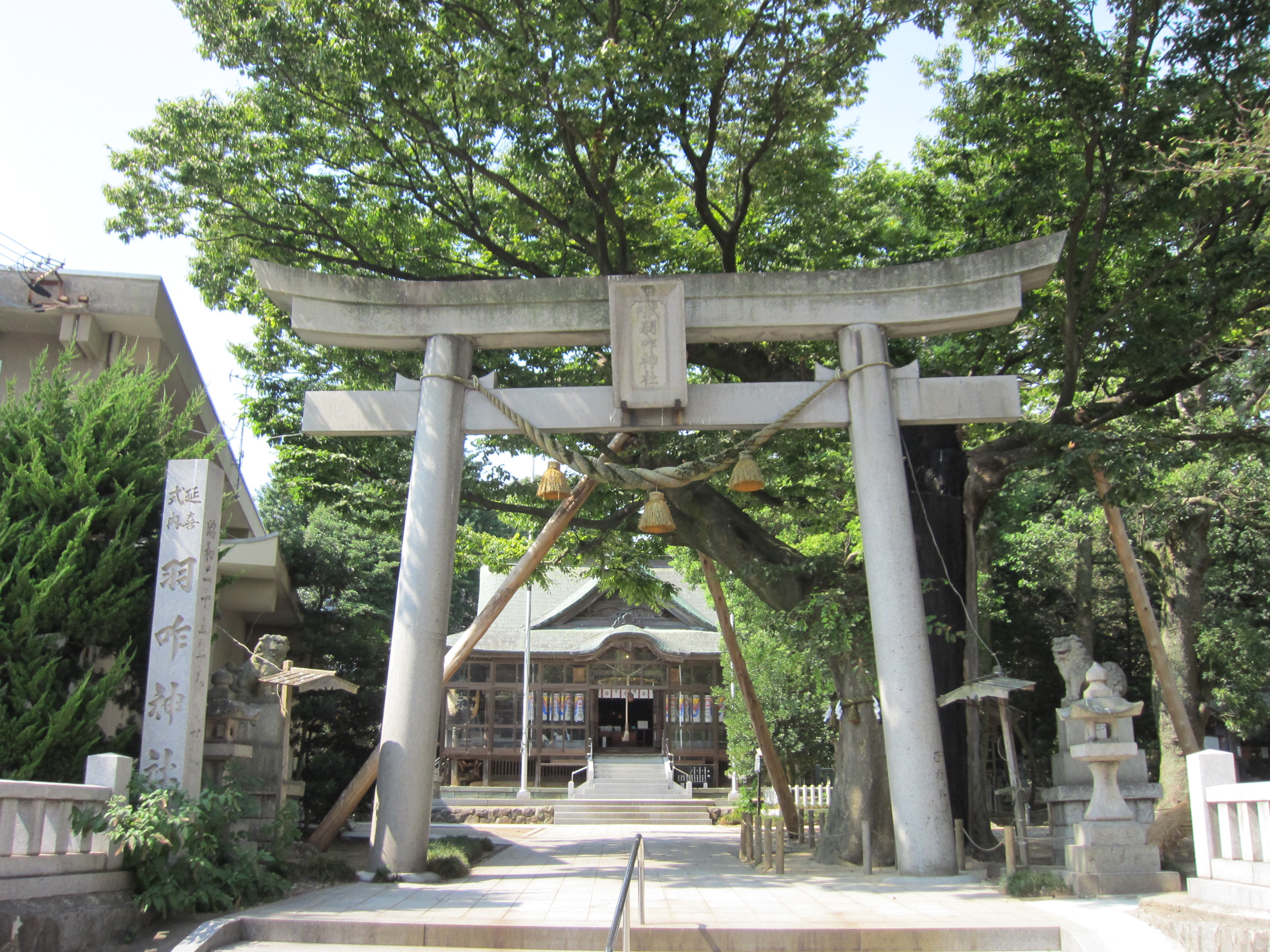 椎葉圓比咩神社の兼務社である羽咋神社の鳥居と参道