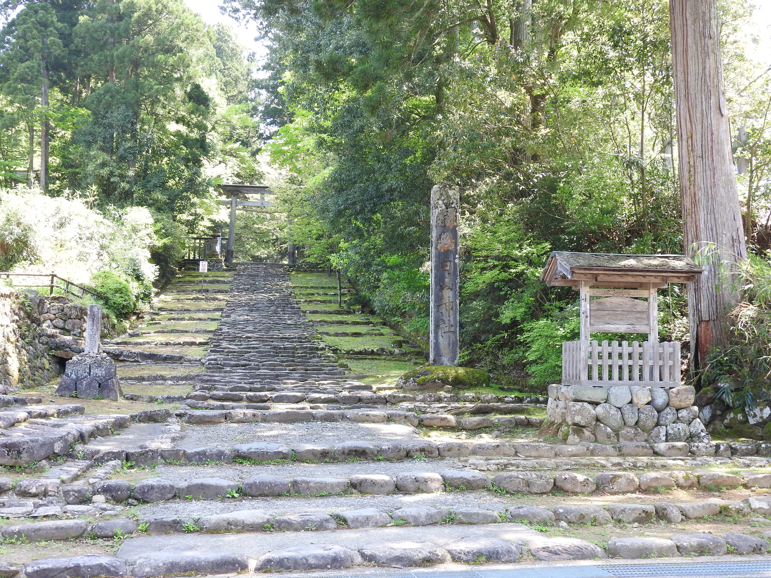 平泉寺白山神社の苔に覆われた参道と石畳