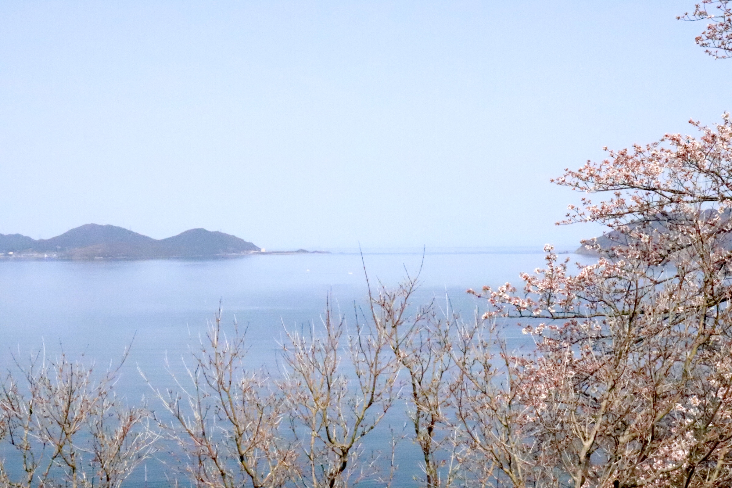 若狭湾を展望台から望む美しいパノラマ風景