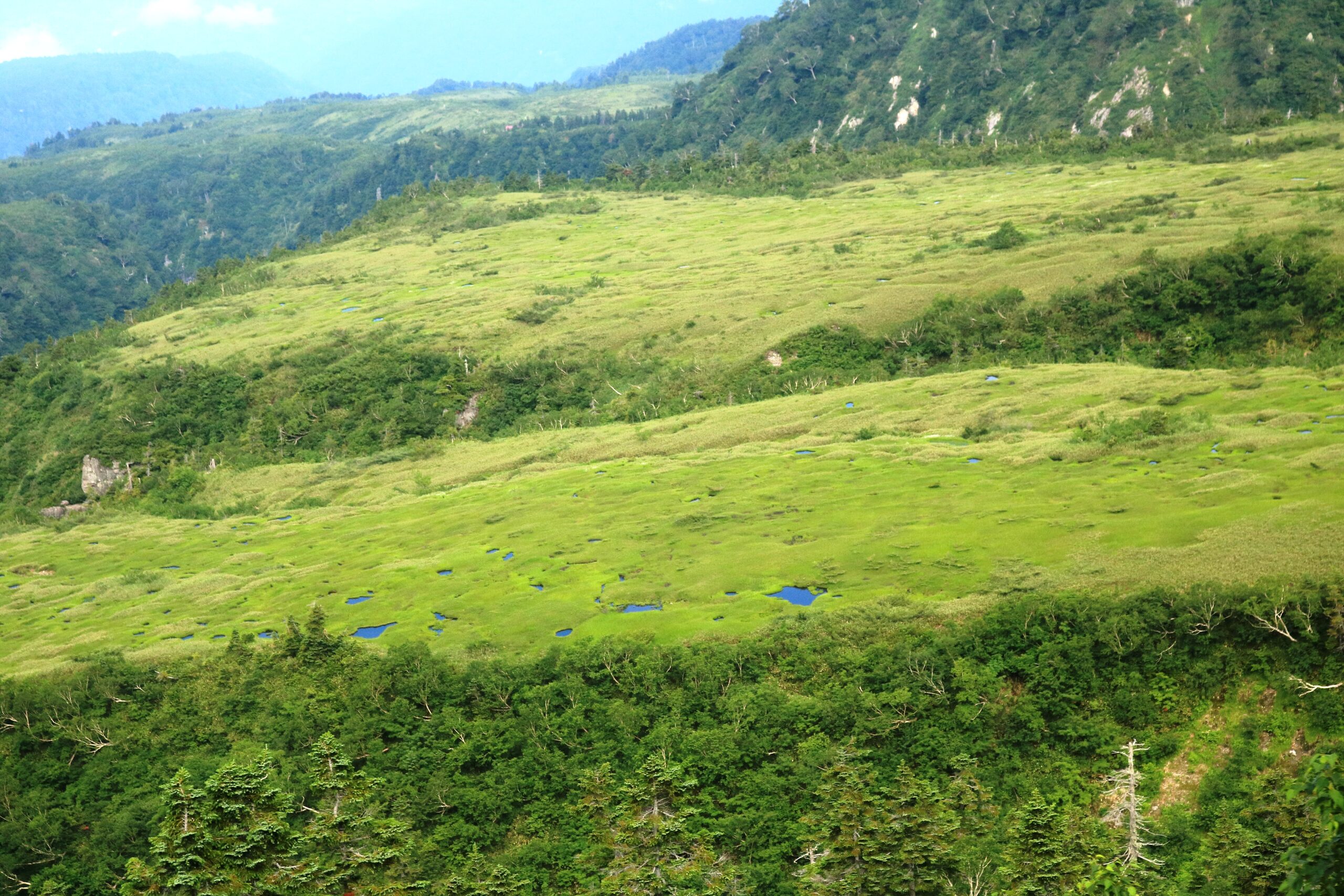 弥陀ヶ原の餓鬼の田（池塘群）