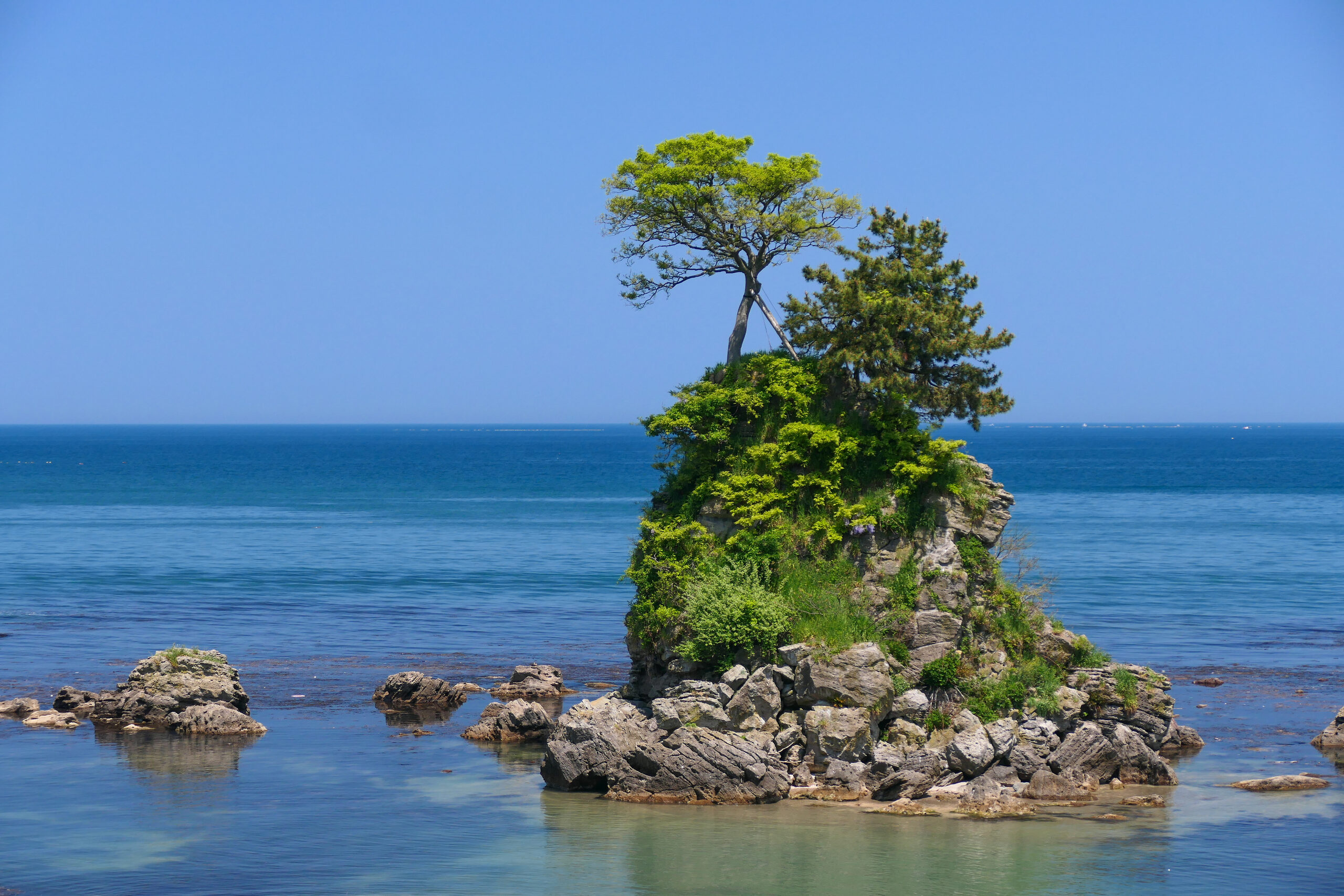 大伴家持が詠んだ雨晴海岸