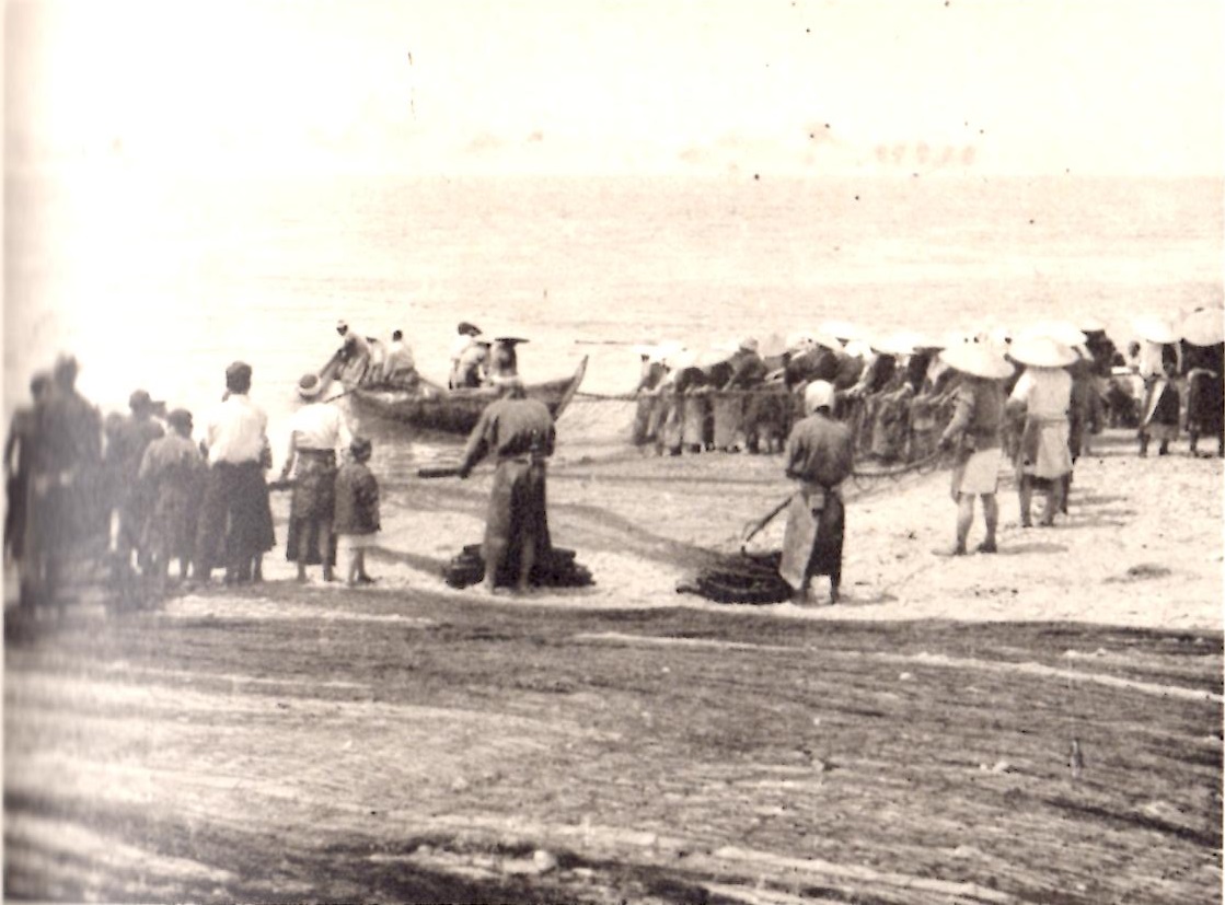 富山湾の新鮮な魚介類