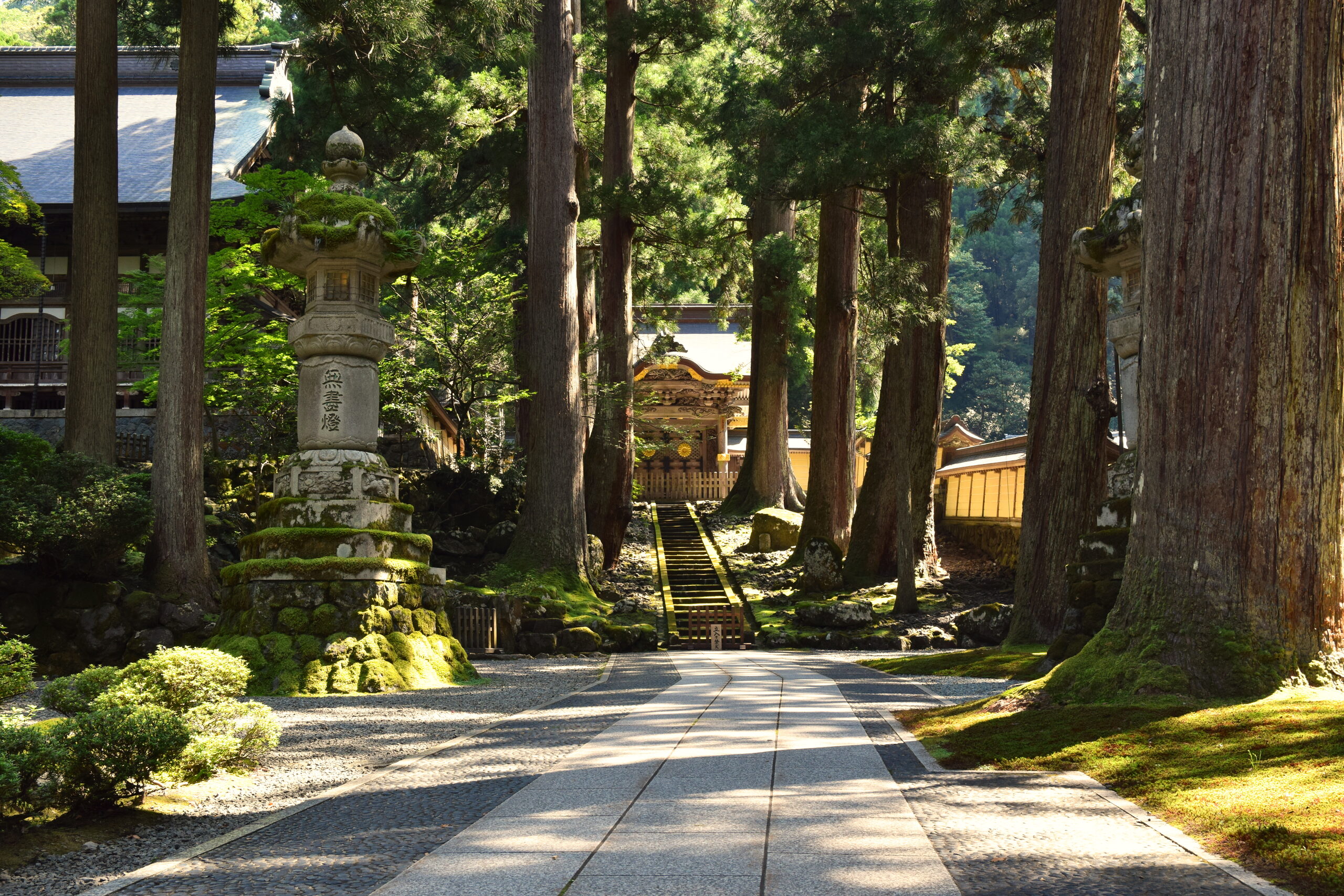 永平寺の山門と杉並木