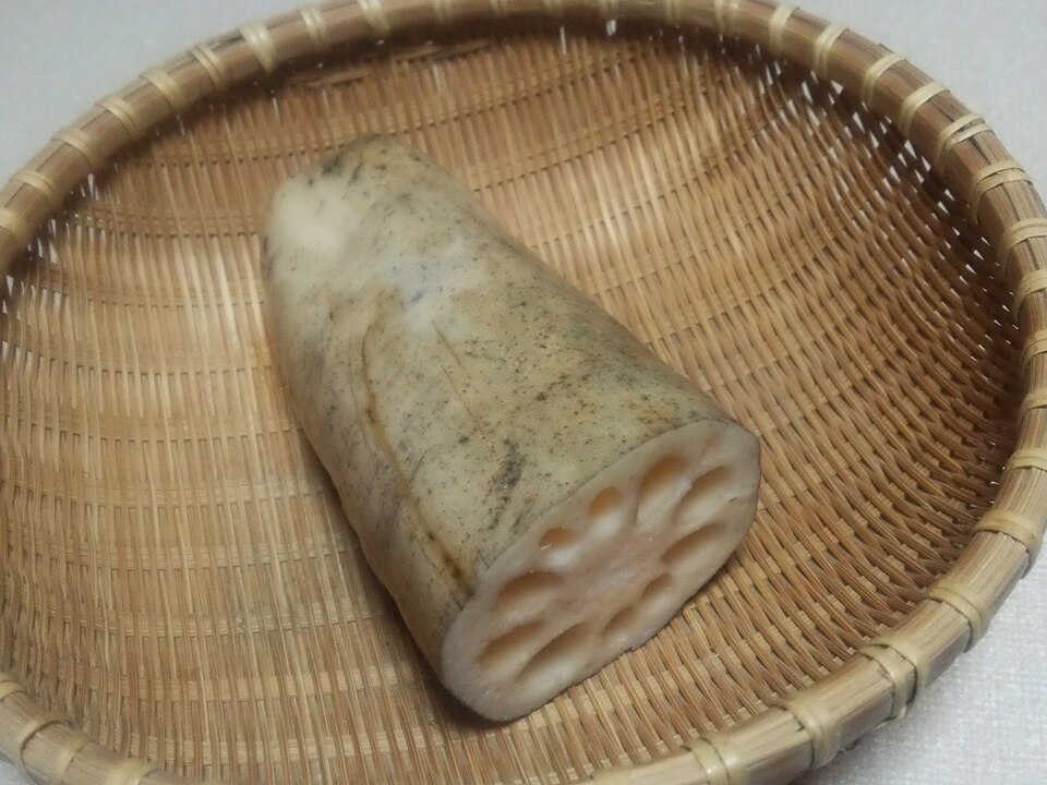 加賀れんこんの断面
