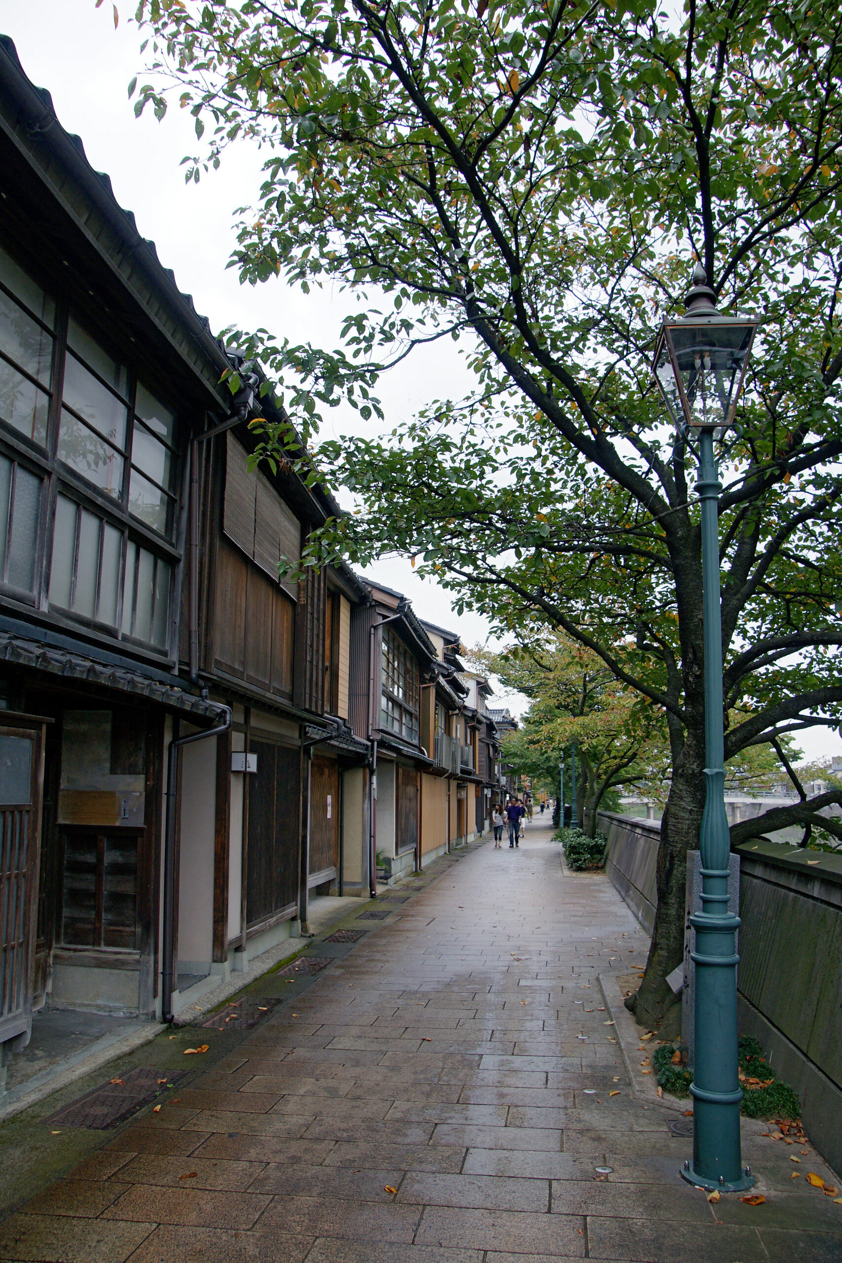 金沢市主計町茶屋街の風情ある通りと伝統的建造物