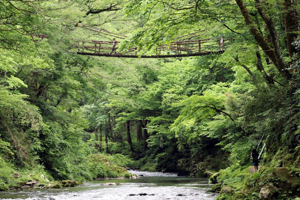 かずら橋（池田町） — 足羽川渓谷のスリル満点の吊り橋体験と冠山の自然を楽しむ山里の冒険ガイド