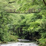 福井県池田町の足羽川渓谷に架かるかずら橋