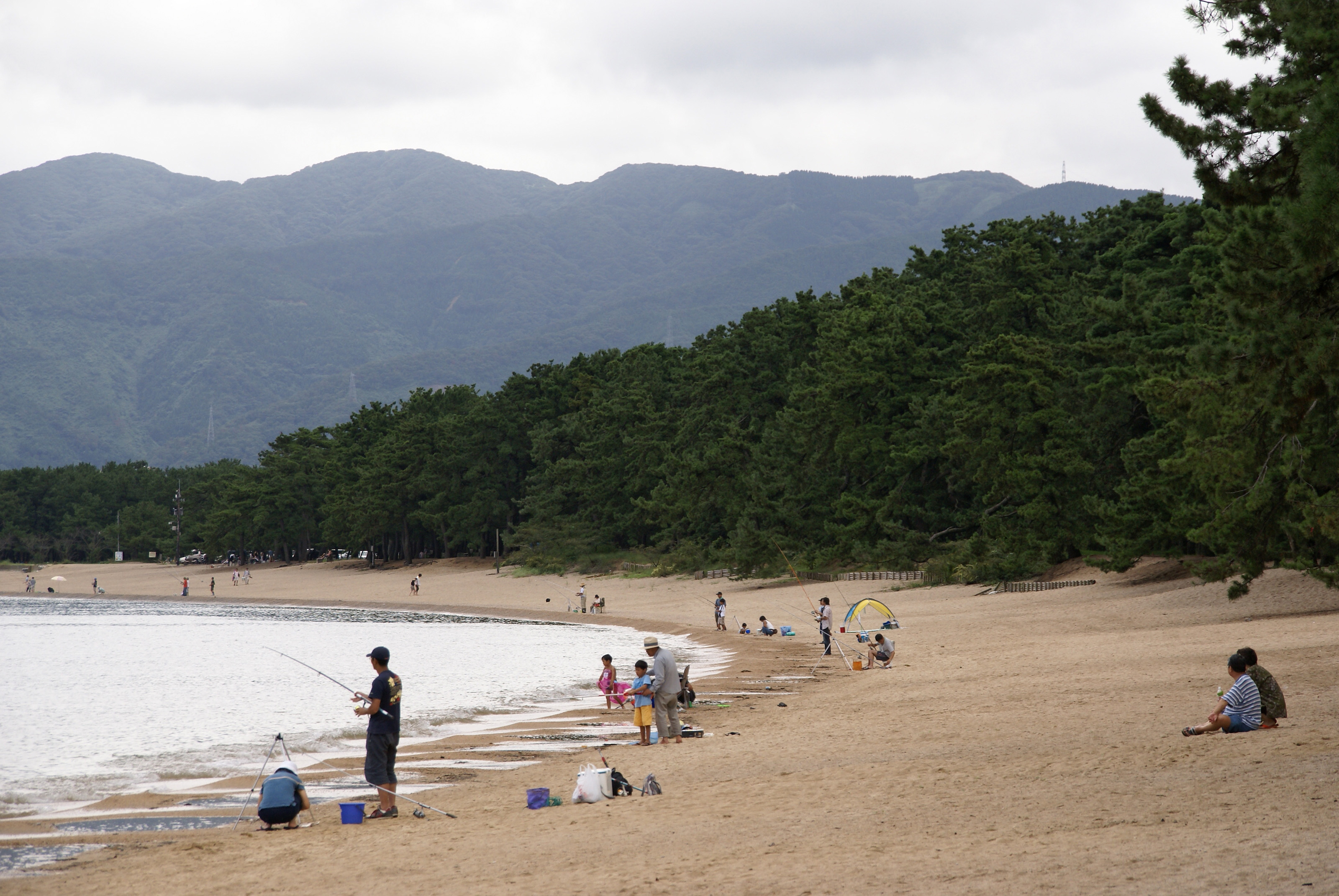 氣比の松原の松林と白い砂浜・敦賀湾の景観