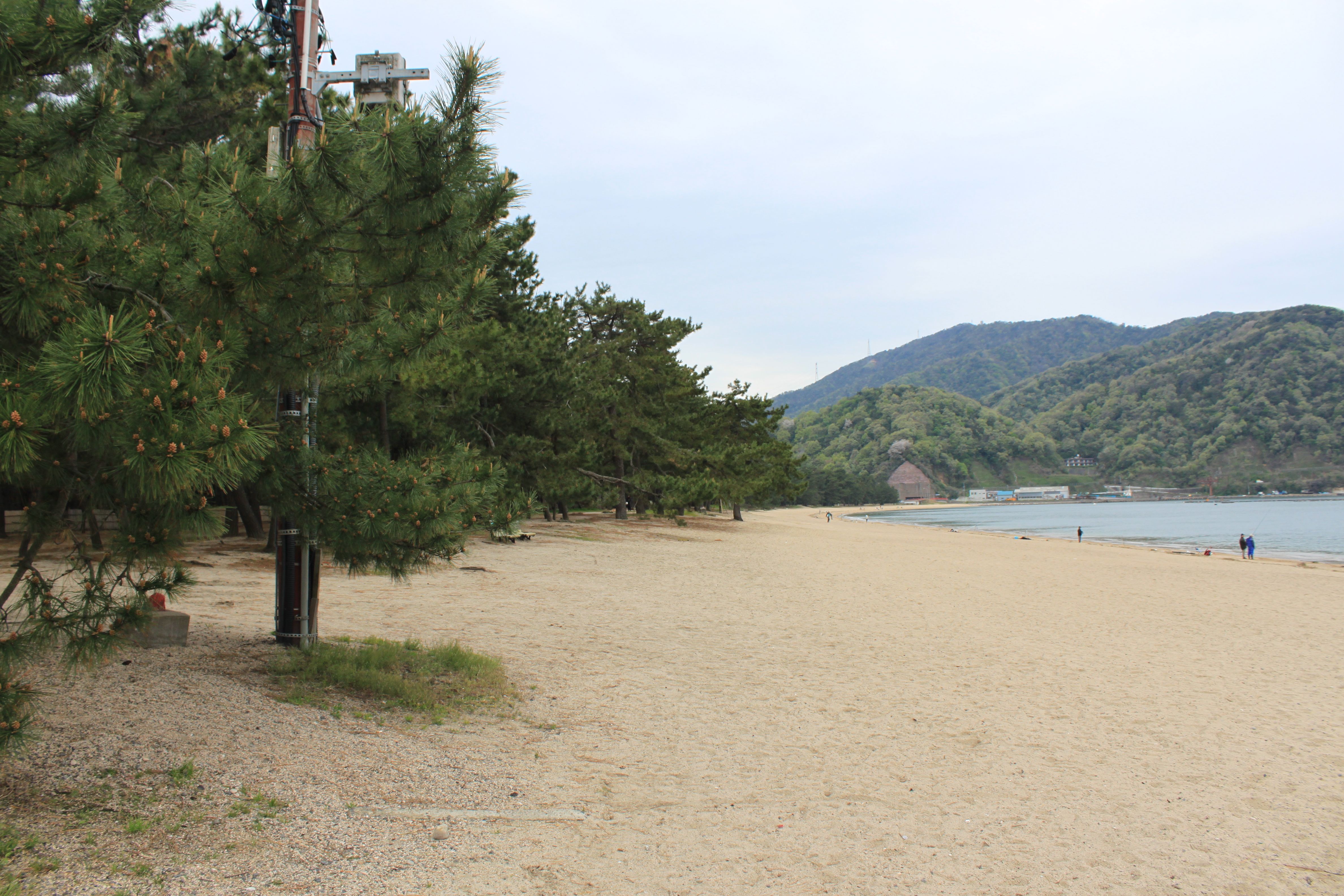 氣比の松原の美しい松林と散策路