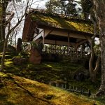 春の兼六園・桜と池の美しい庭園風景