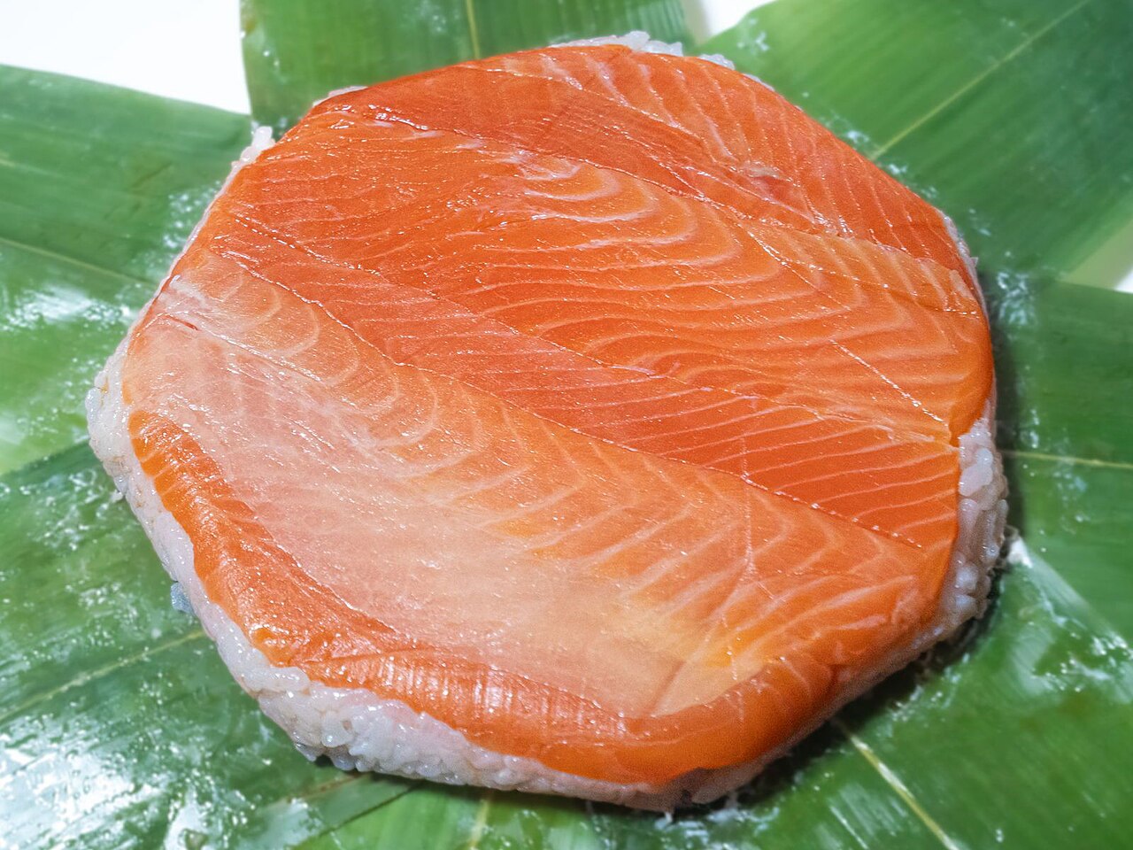 富山名物ますのすし・曲げわっぱに盛り付けられた鱒の寿司