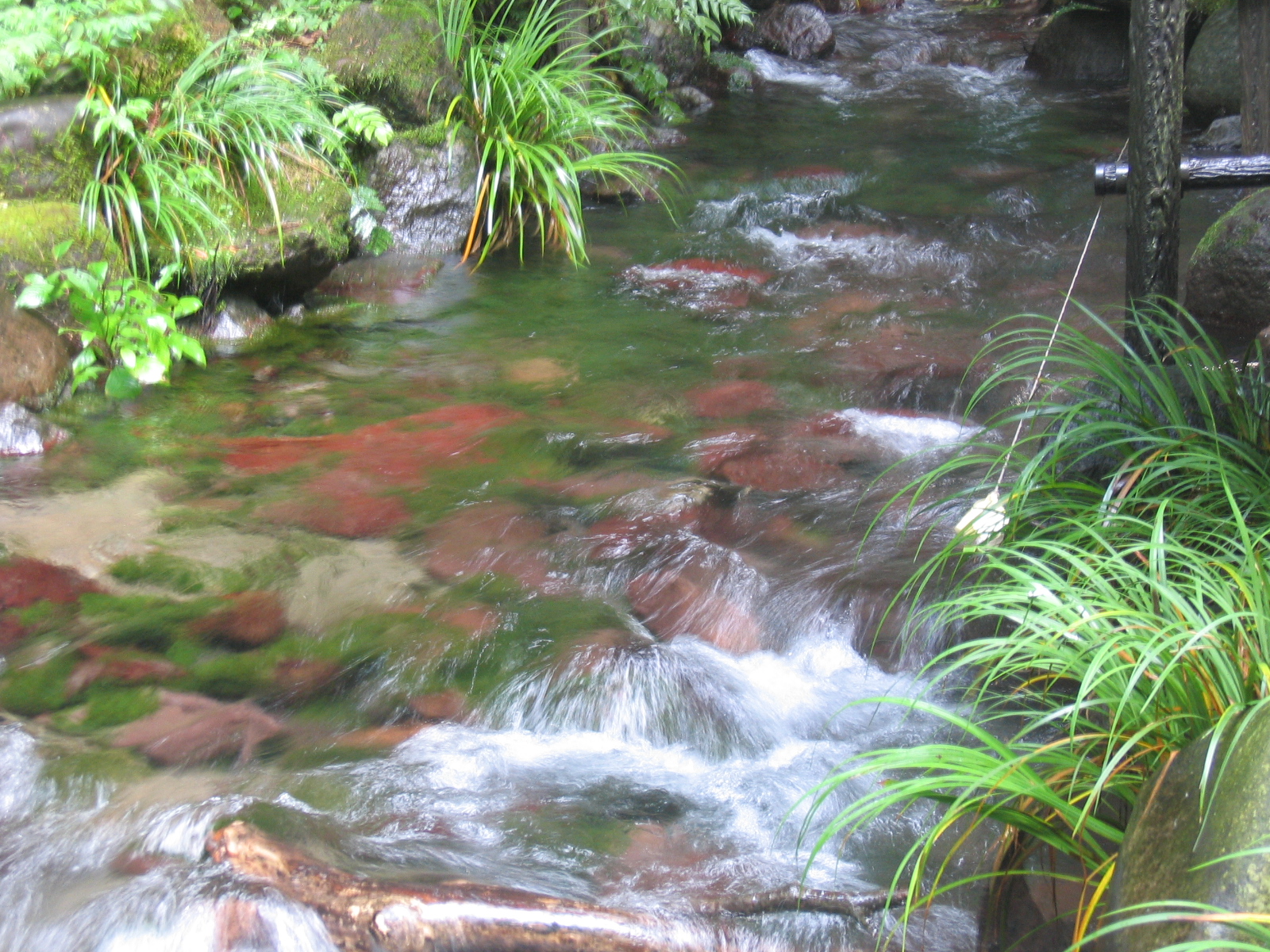名水百選に選ばれた日本の湧水風景（イメージ）