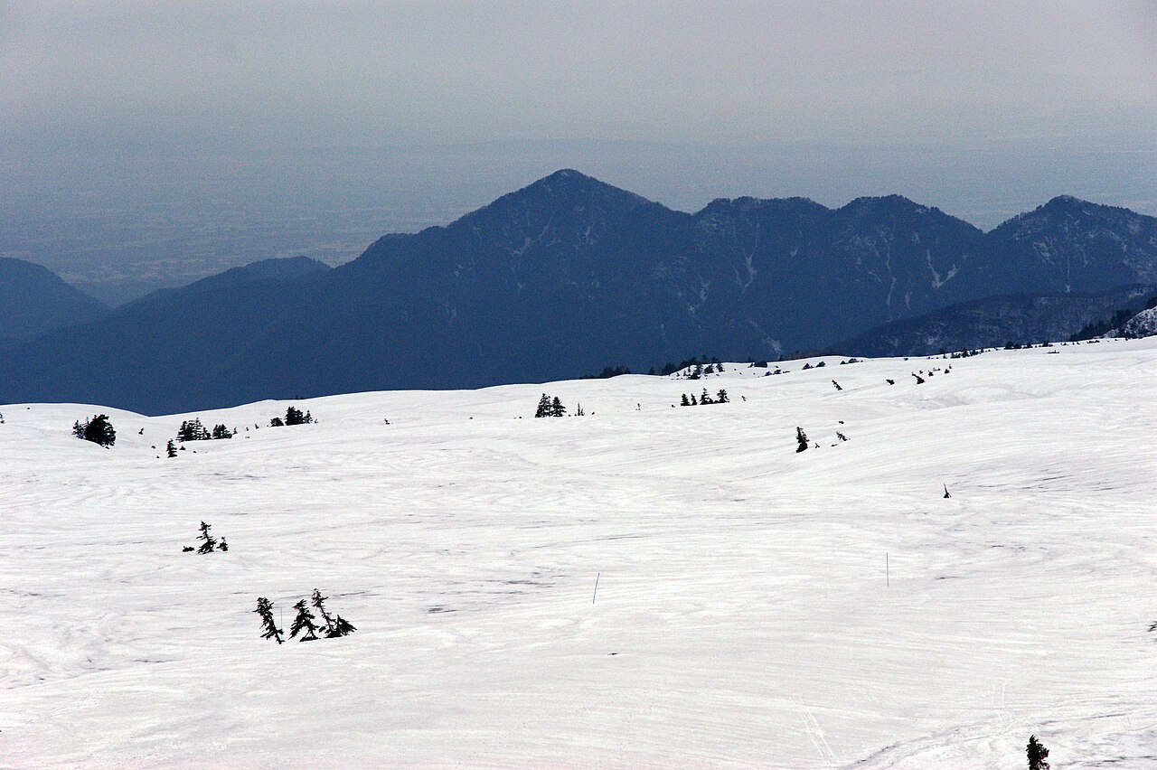 弥陀ヶ原高原の高層湿原と木道の散策路