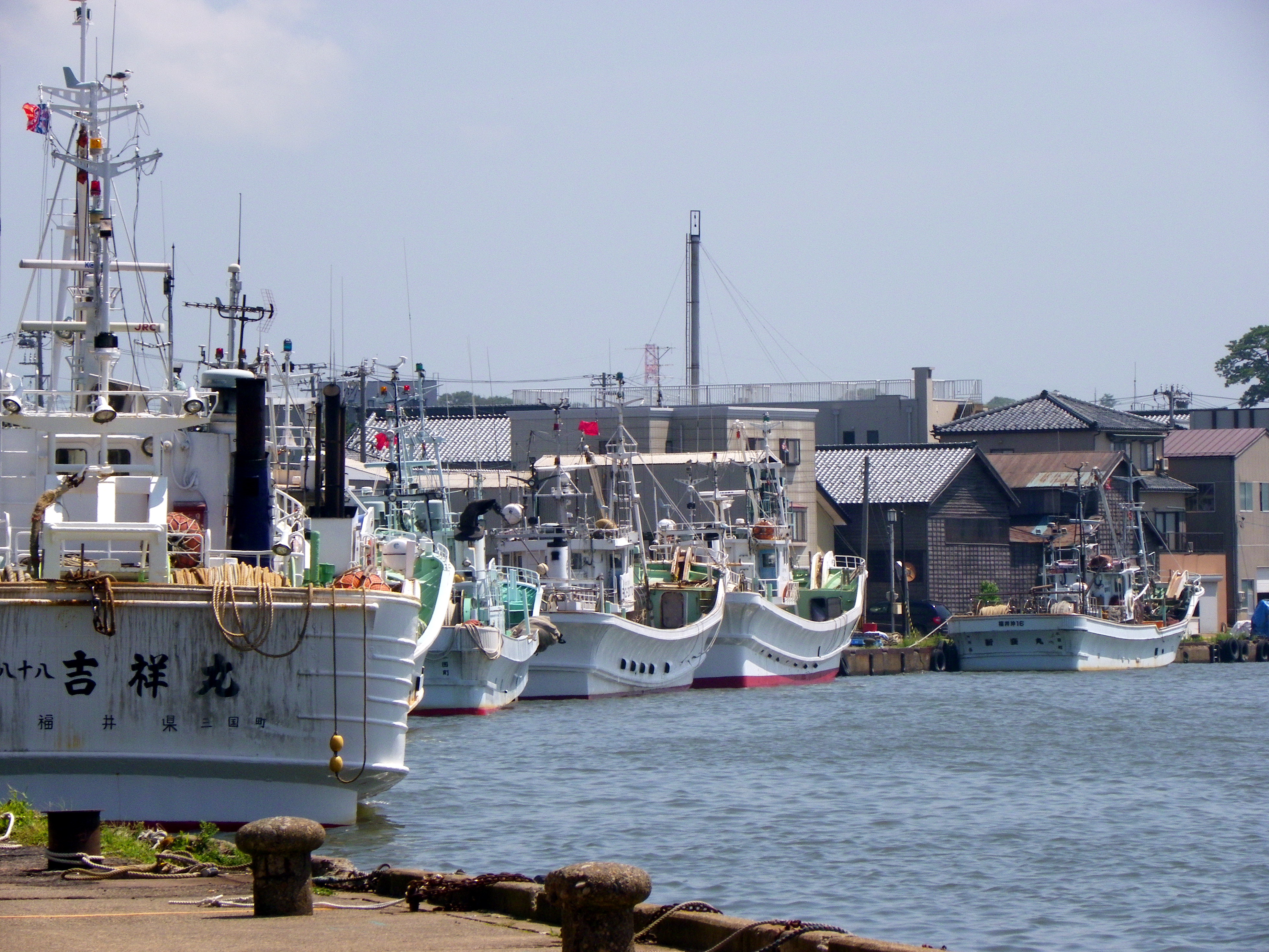 福井県坂井市三国港の全景