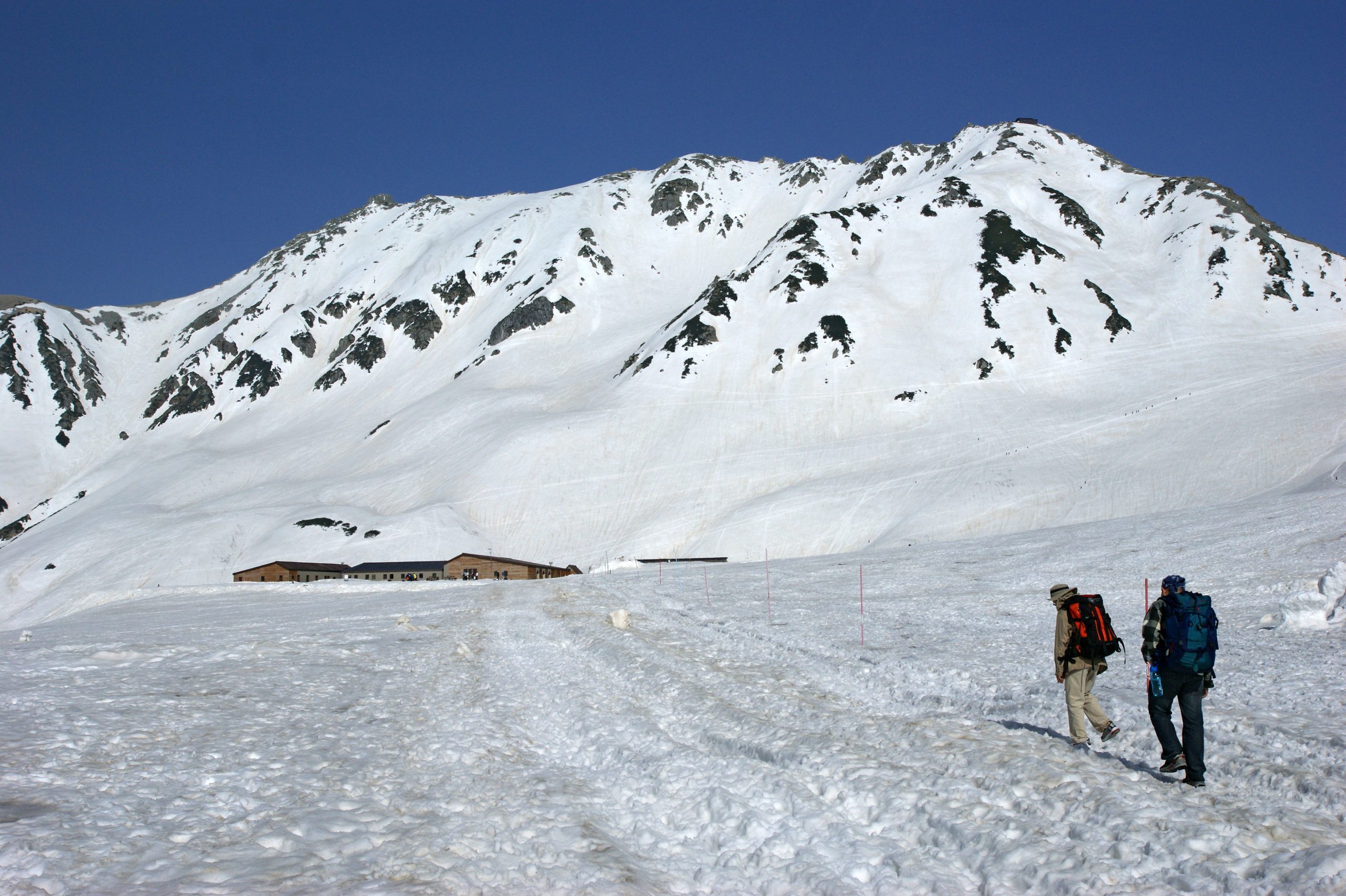 室堂平から望む残雪の立山連峰と青空の絶景