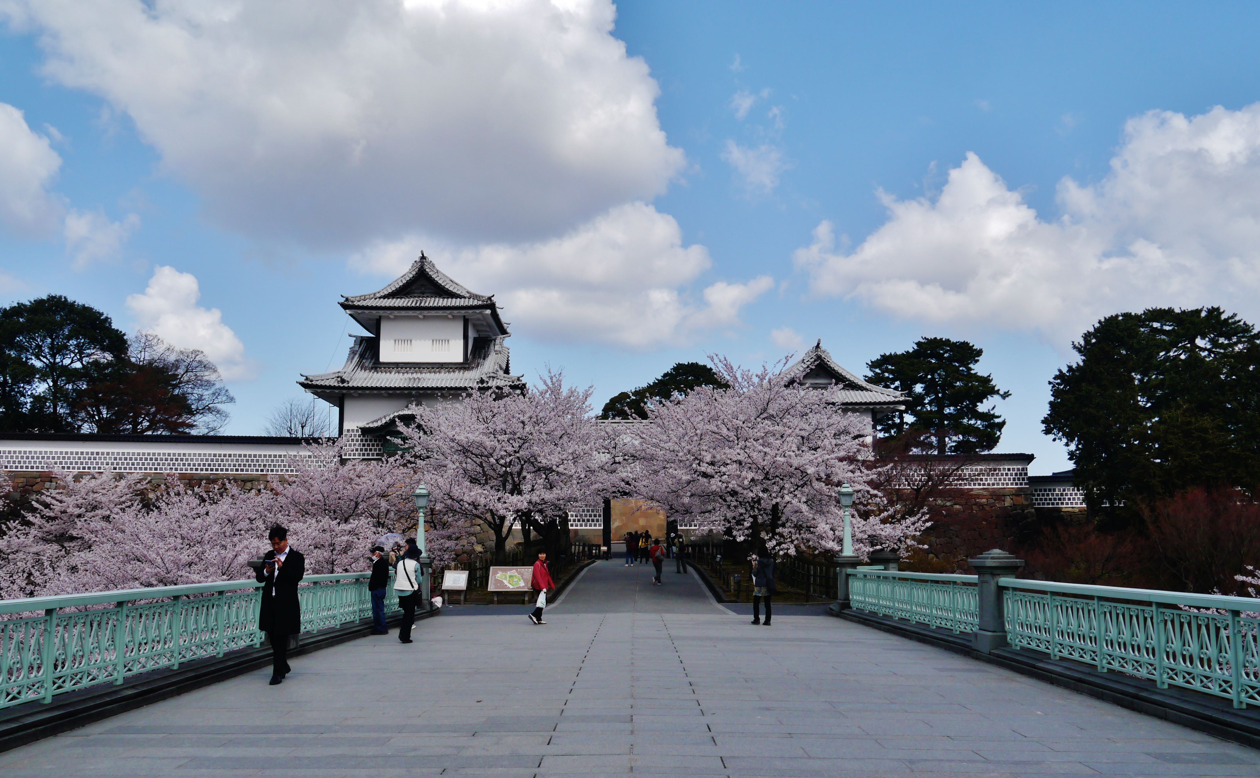 能登半島の桜が満開の美しい春の風景