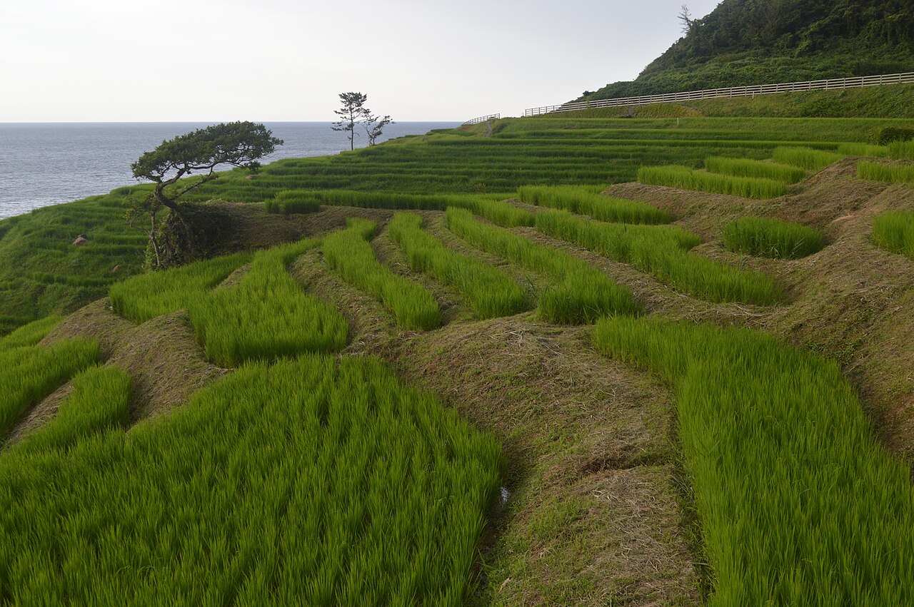 能登の里山里海の棚田と農村の風景