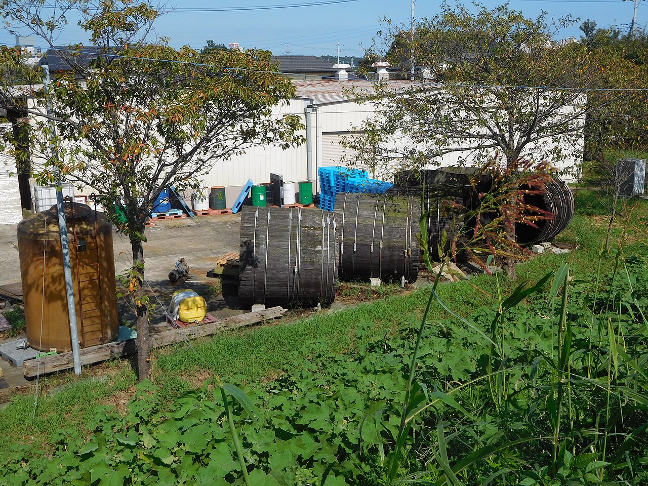 醤油蔵の伝統的な木桶と醤油樽