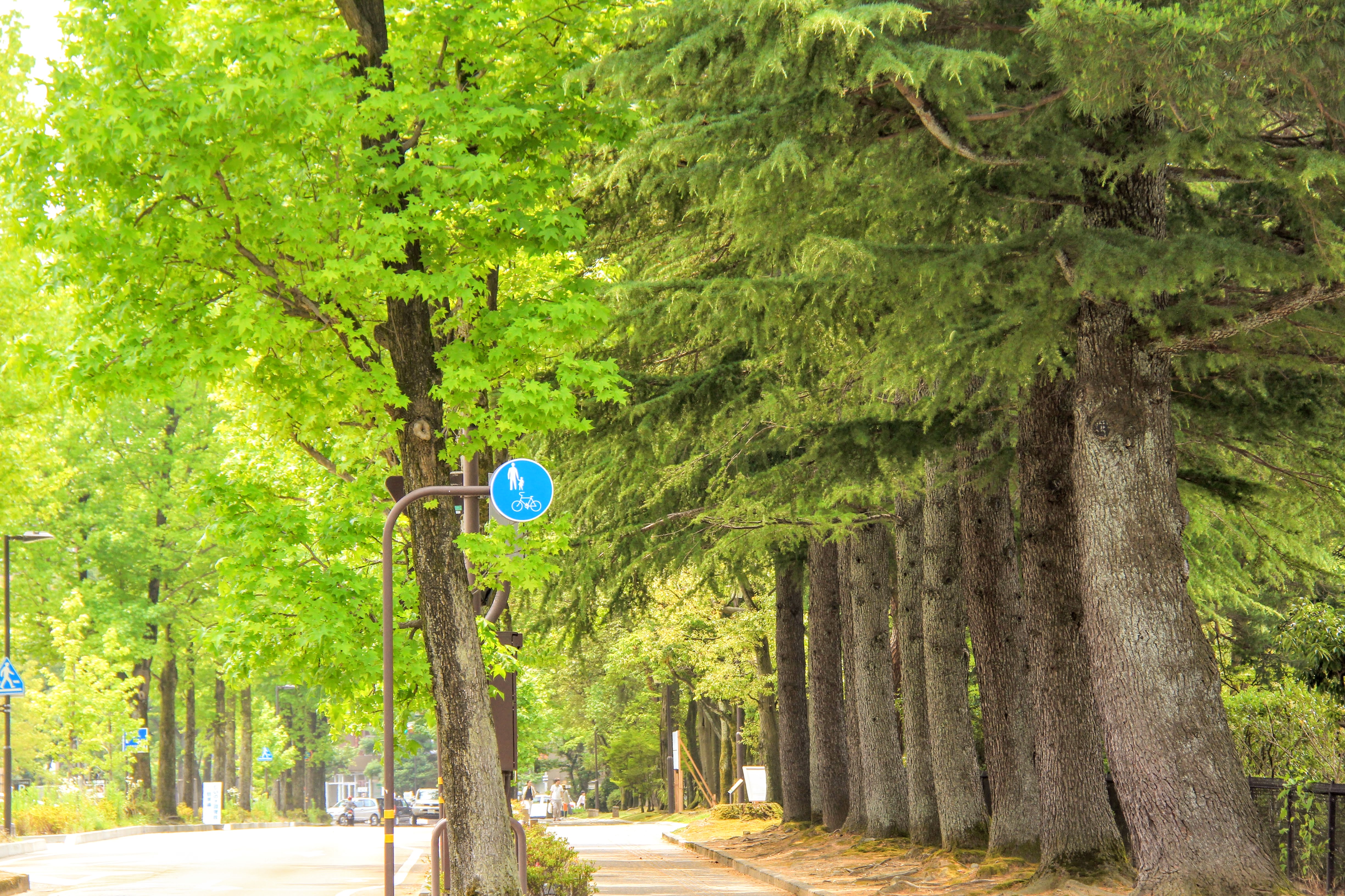 金沢・尾山神社のステンドグラスが美しい神門