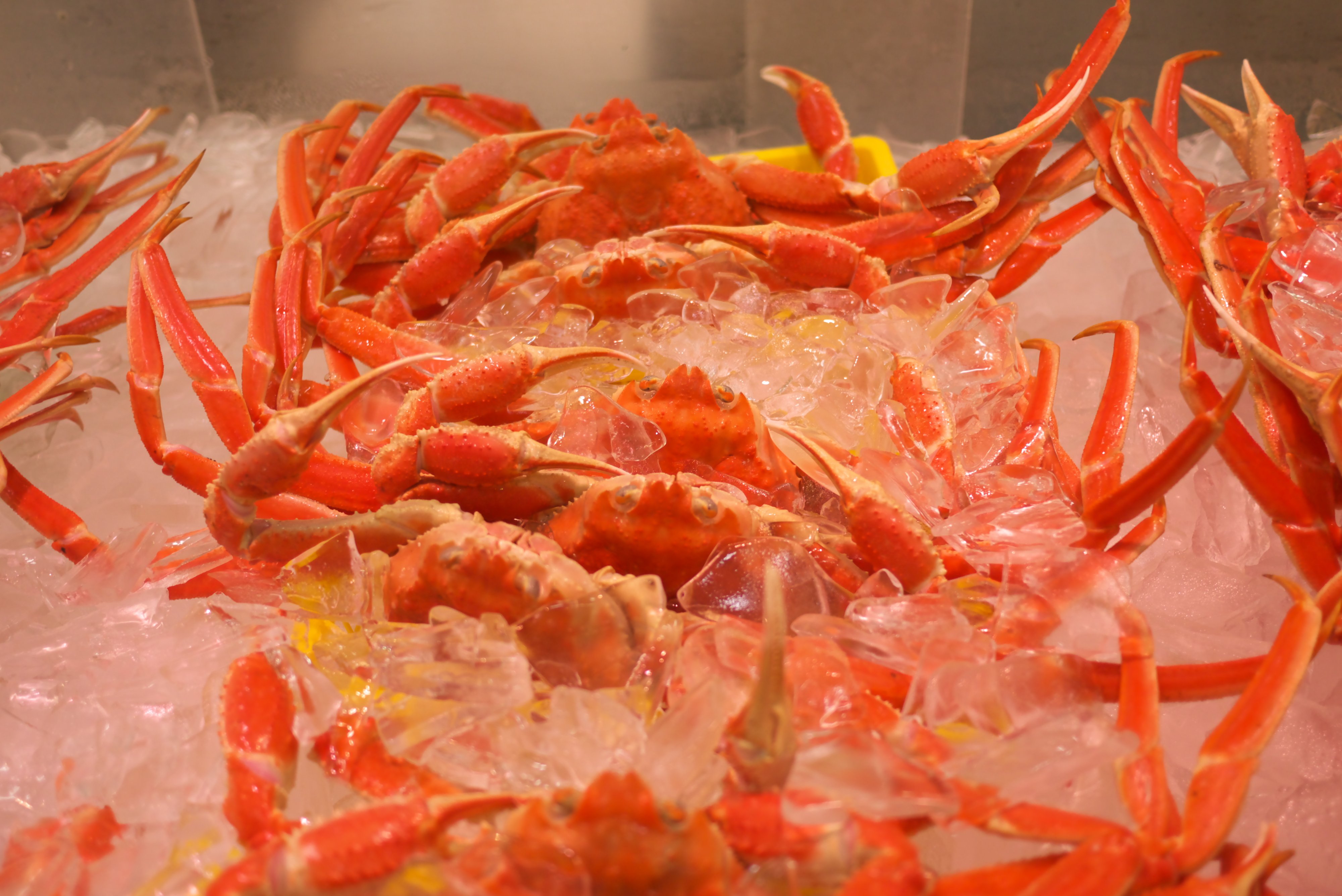 市場に並ぶ紅ズワイガニ