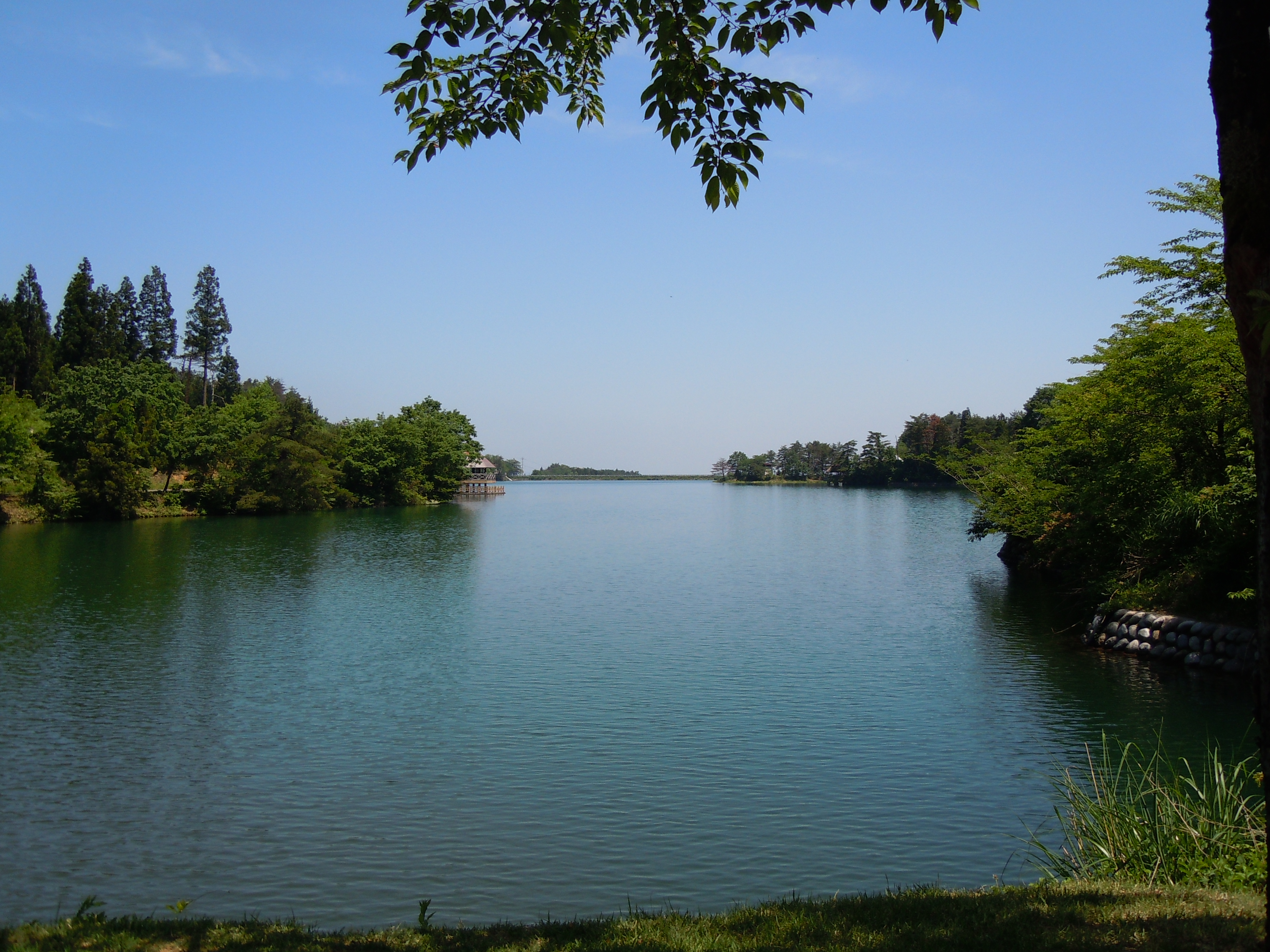 南砺市桜ヶ池の全景