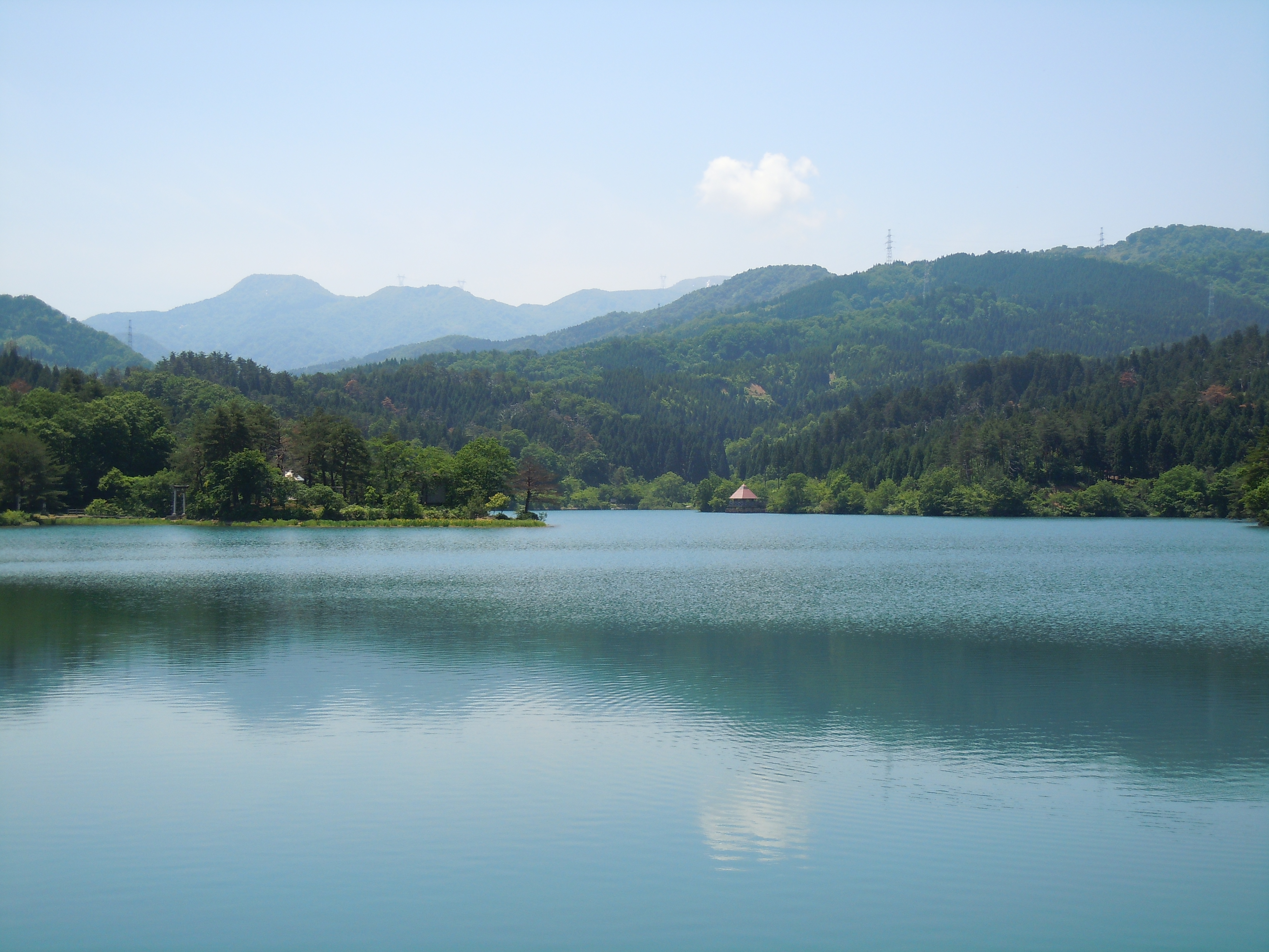 桜ヶ池の水面と周囲の緑