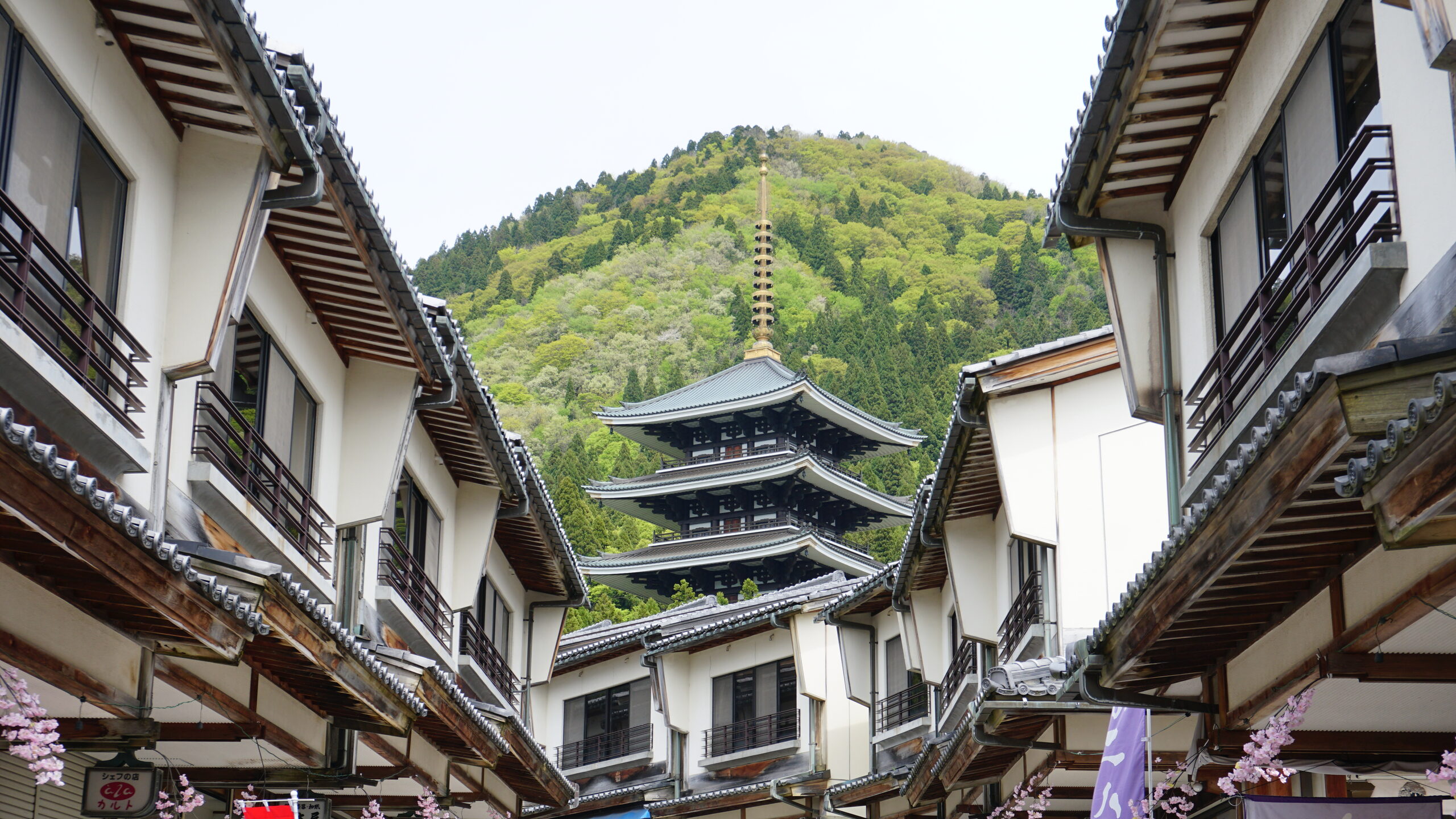 越前大仏・清大寺の門前町と五重塔の風景