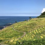 白米千枚田の美しい棚田と日本海