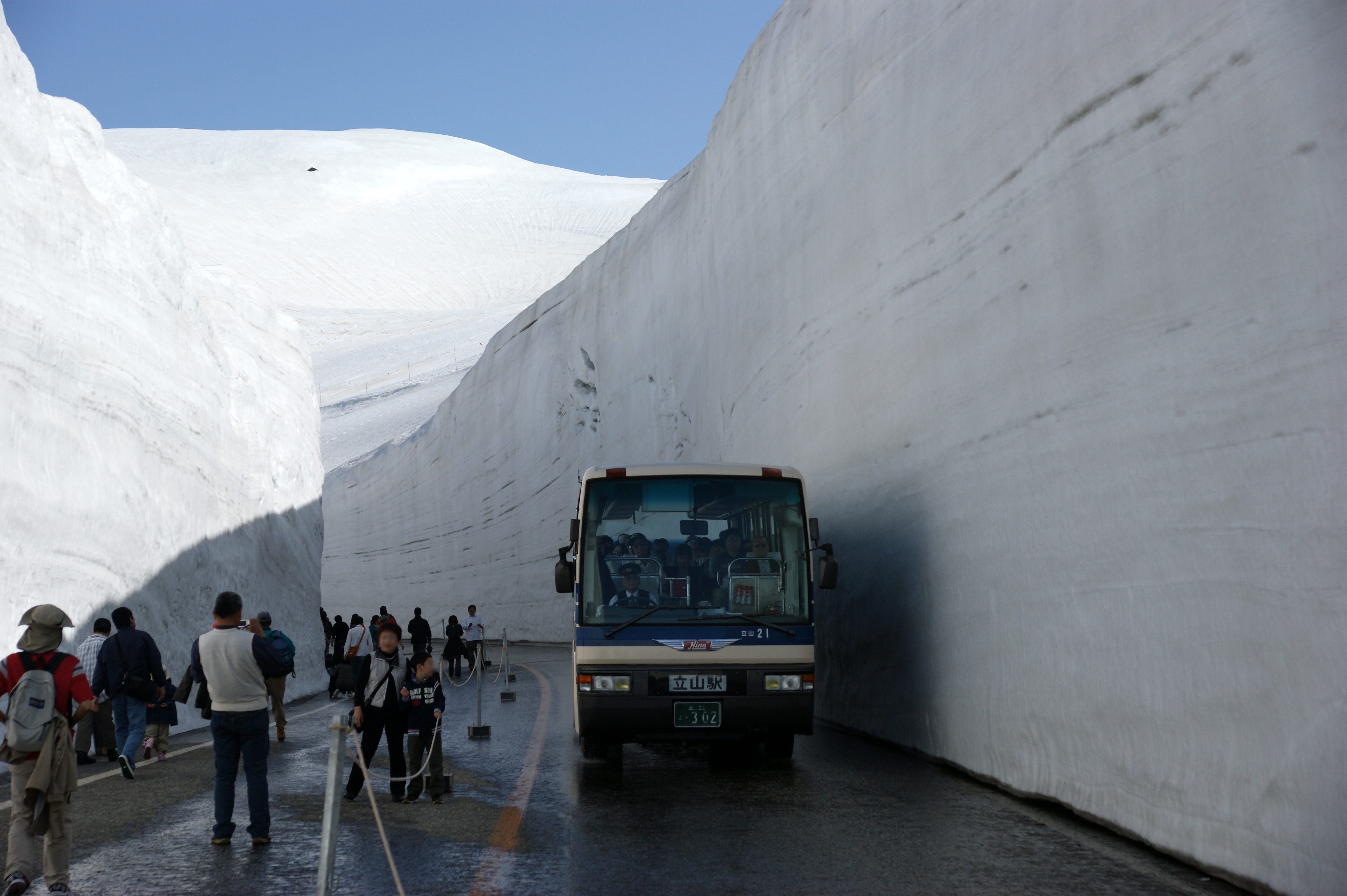 立山黒部アルペンルートの雪の大谷を走るバスと高さ20mの雪壁