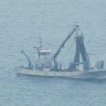 日本の定置網漁の様子