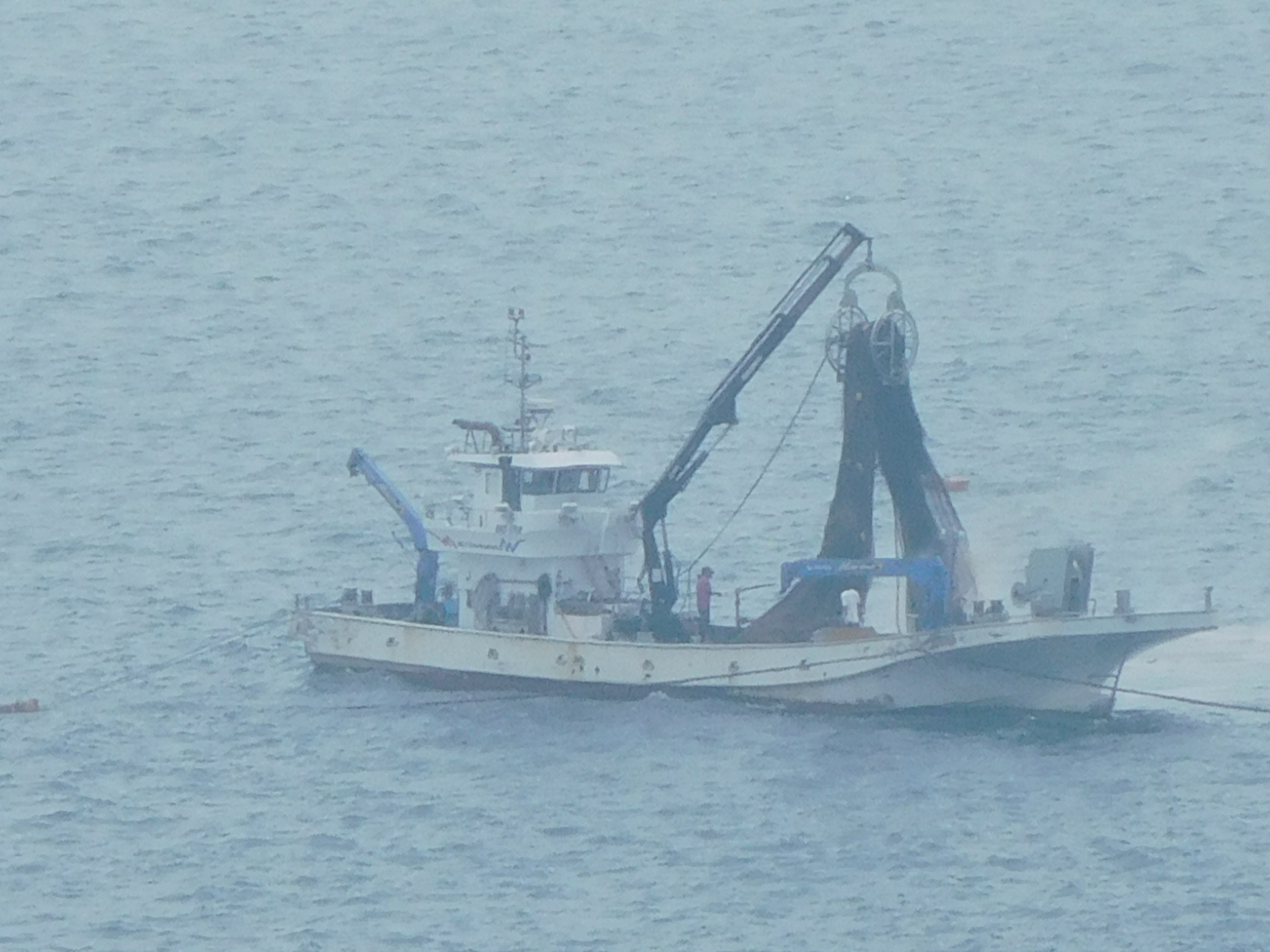 日本の定置網漁の様子