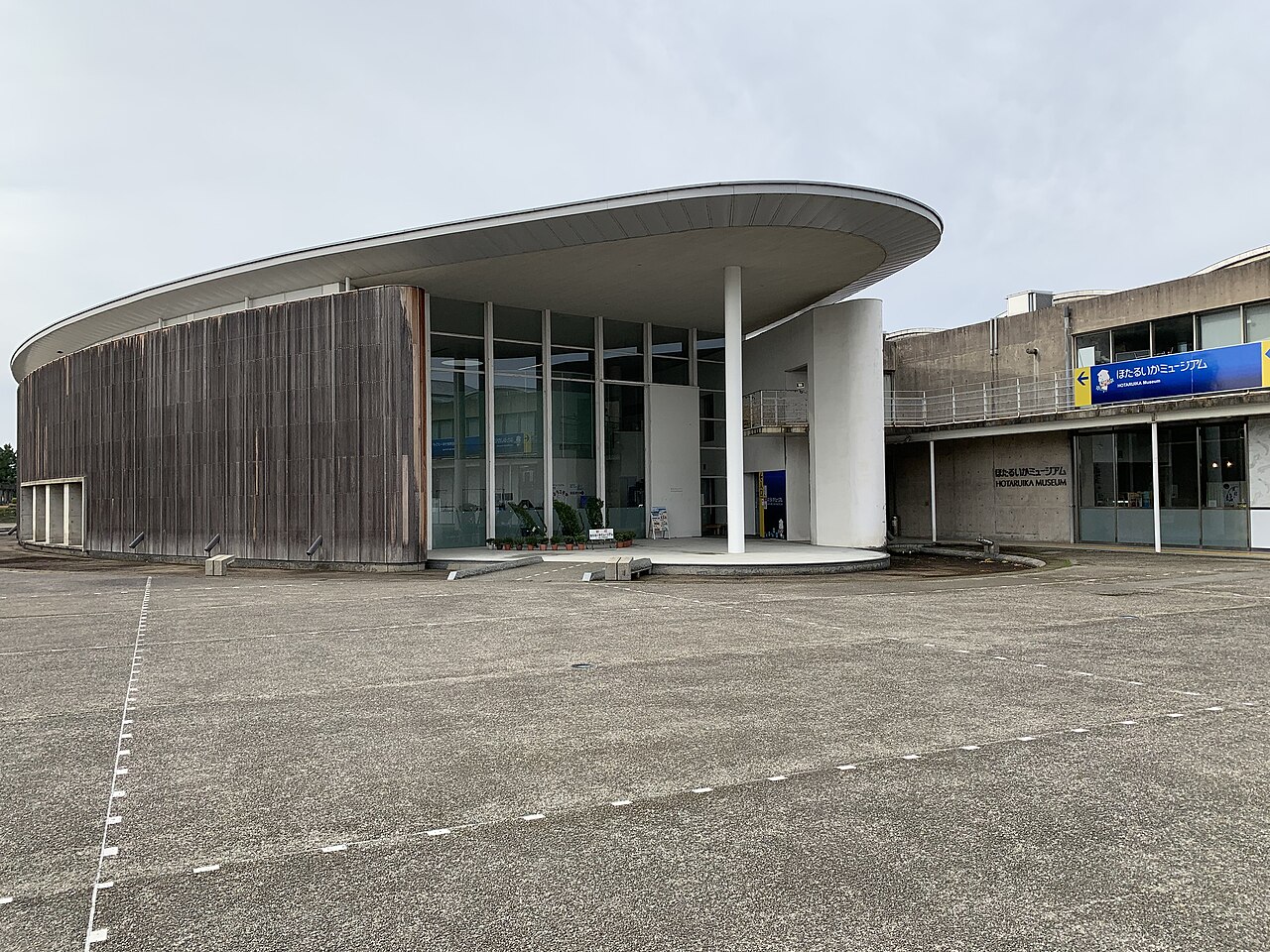 滑川市のほたるいかミュージアムと富山湾のホタルイカ