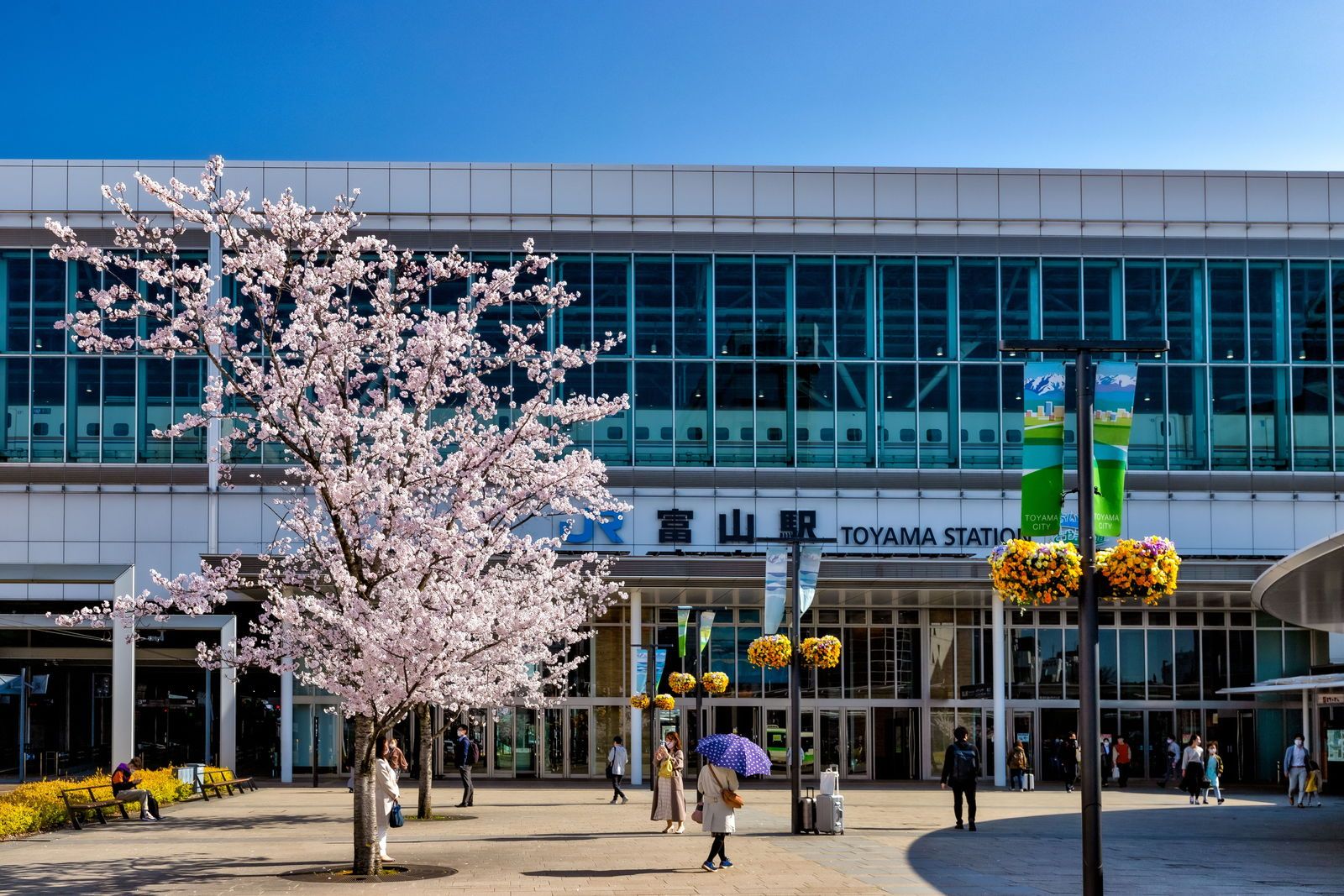 富山のお土産が揃う富山駅ビル・きときと市場とやマルシェ