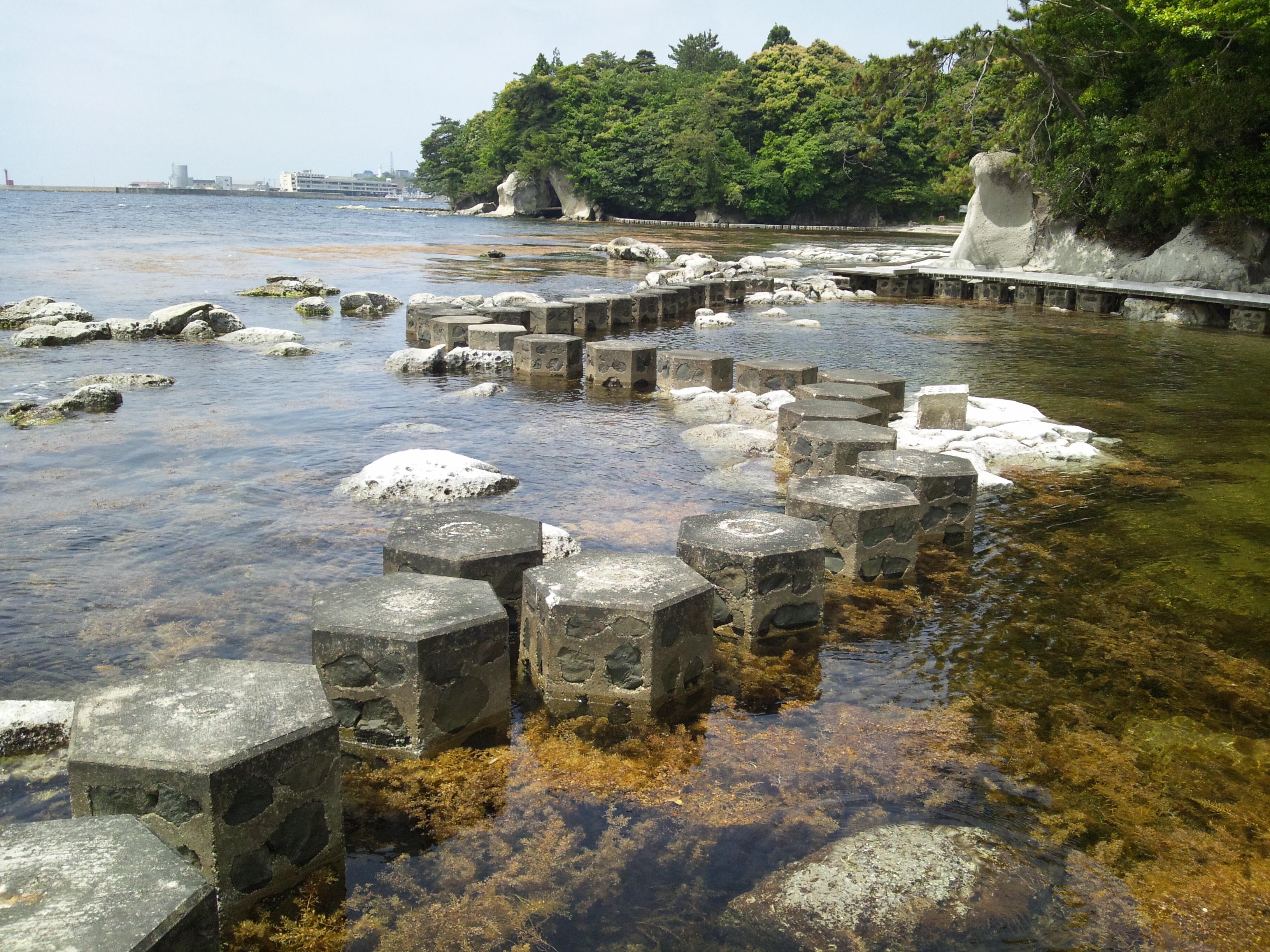 日本百景・九十九湾のリアス式海岸