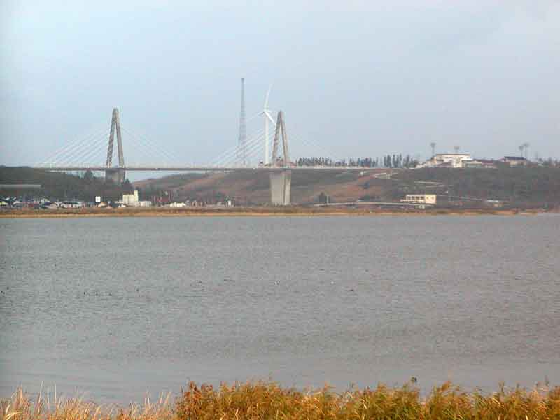 河北潟の広大な水辺と周辺の自然風景