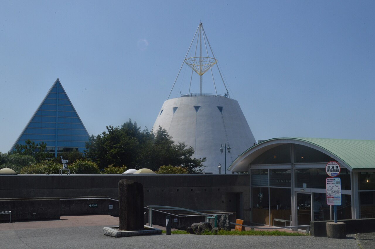 魚津埋没林博物館の外観と展示棟