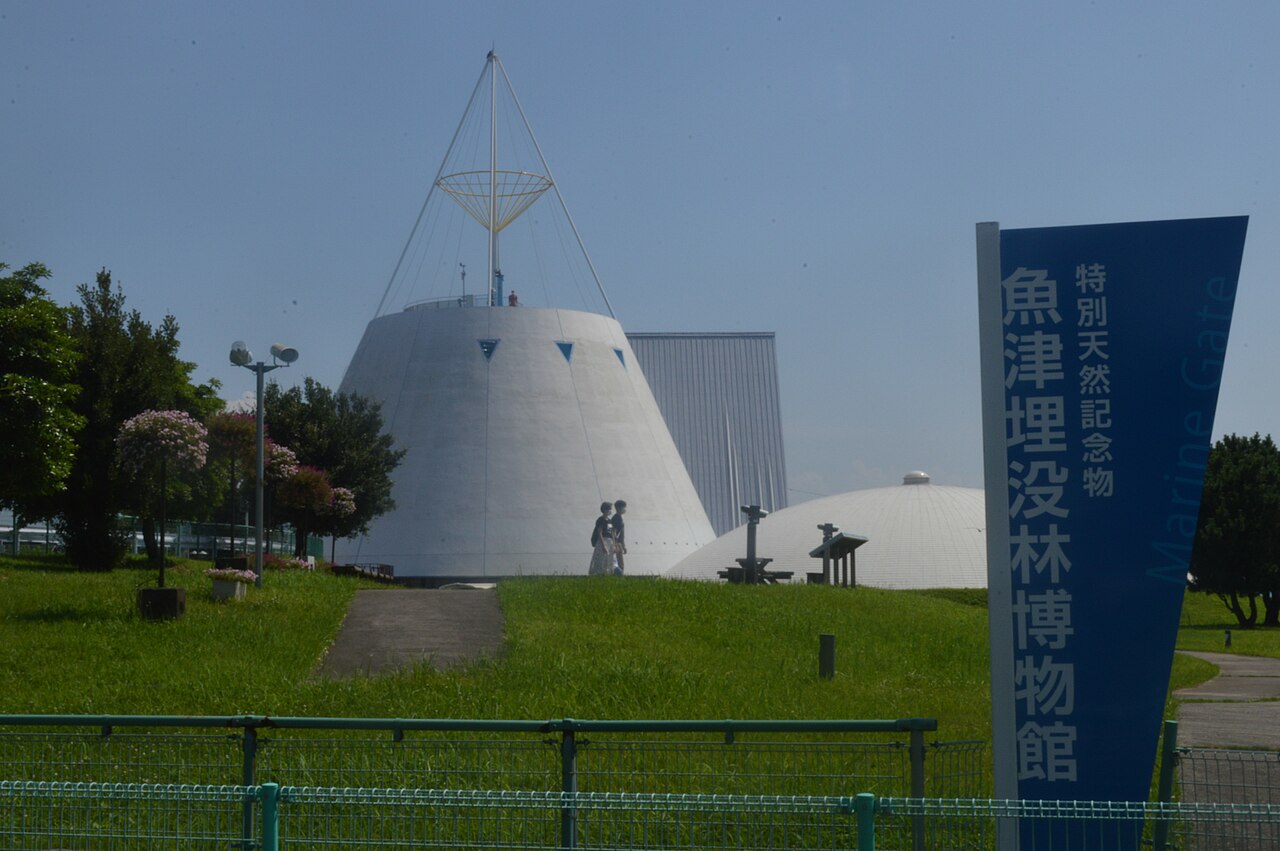 魚津埋没林博物館の水中展示室と蜃気楼展示