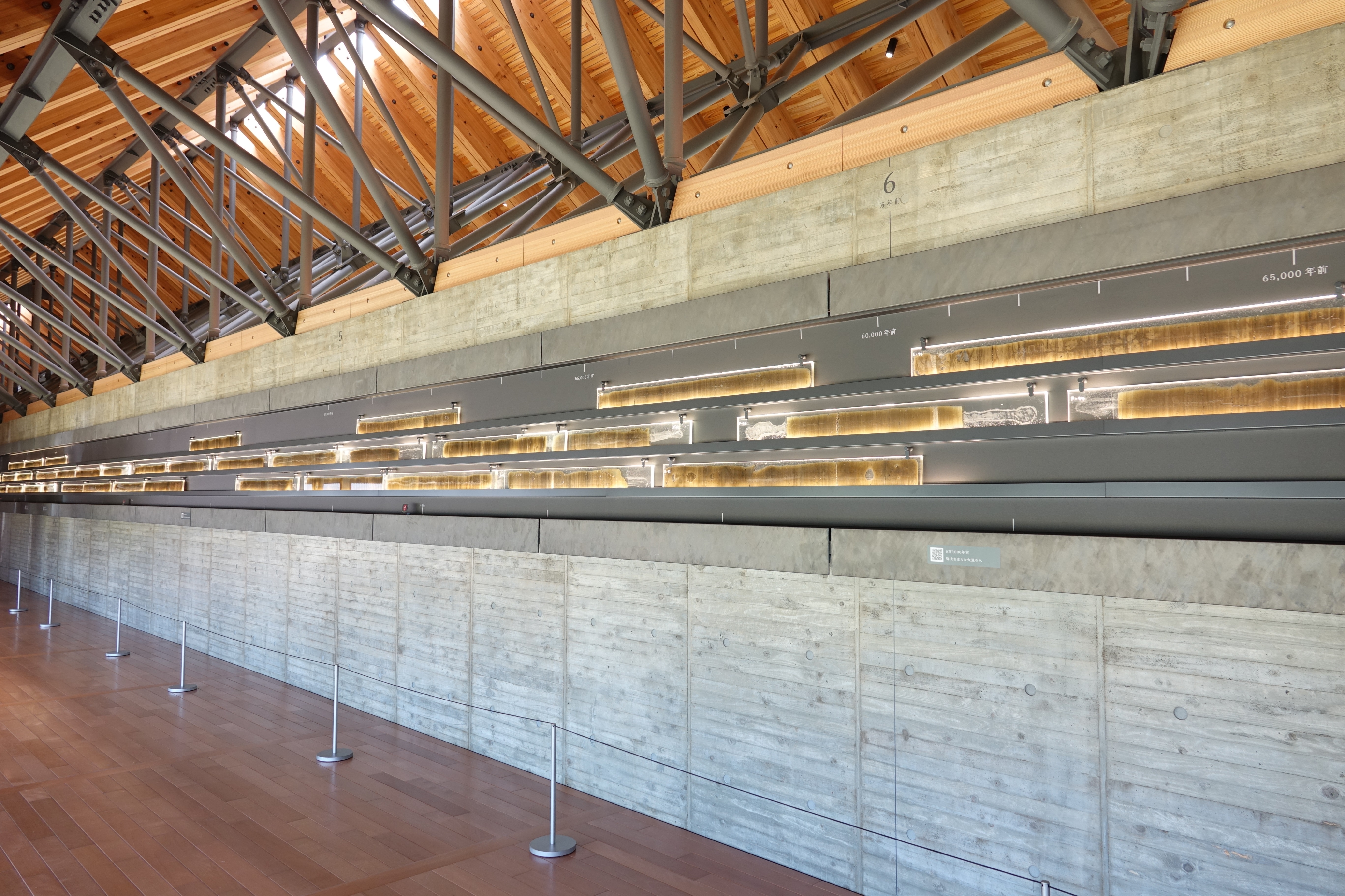 福井県年縞博物館に展示された水月湖の7万年の年縞