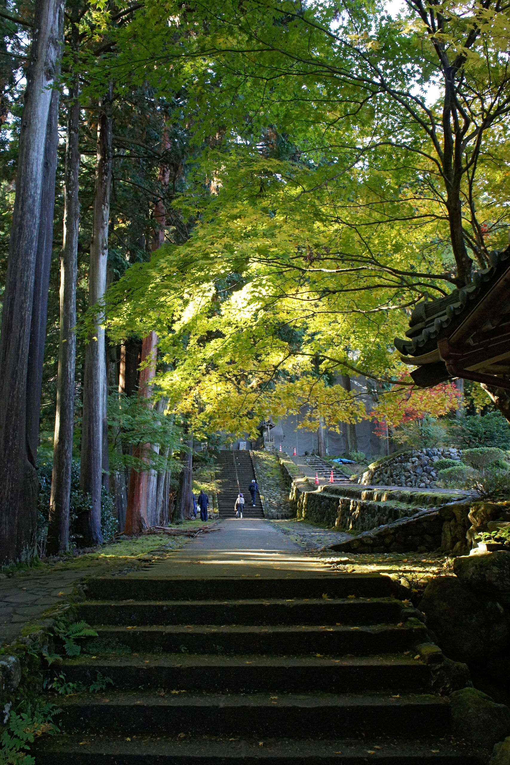 明通寺の境内に広がる自然豊かな参道